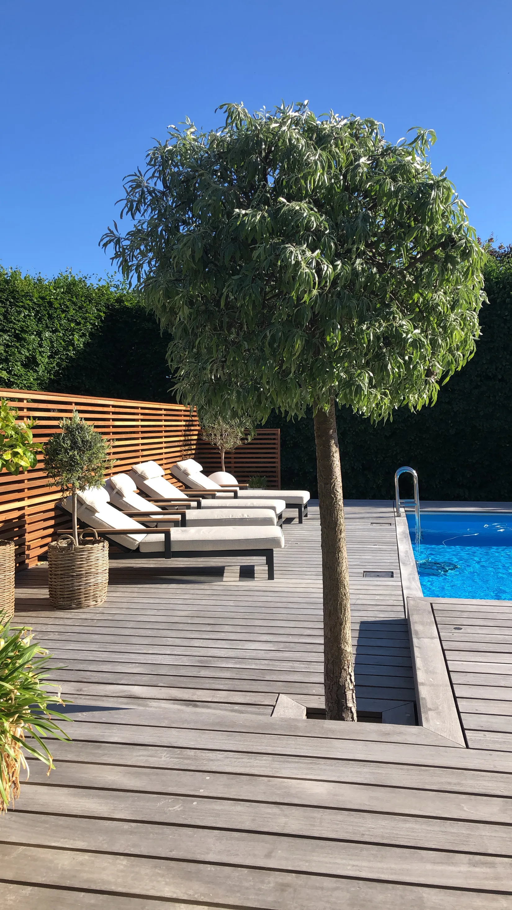 Villa, Sånekullavägen 27, Bellevue Västervång, Malmö