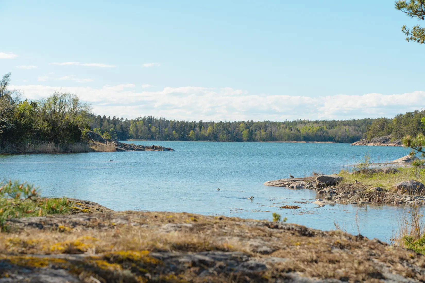 Fritidshus, Stora Juten 1, Skärgård, Nyköping