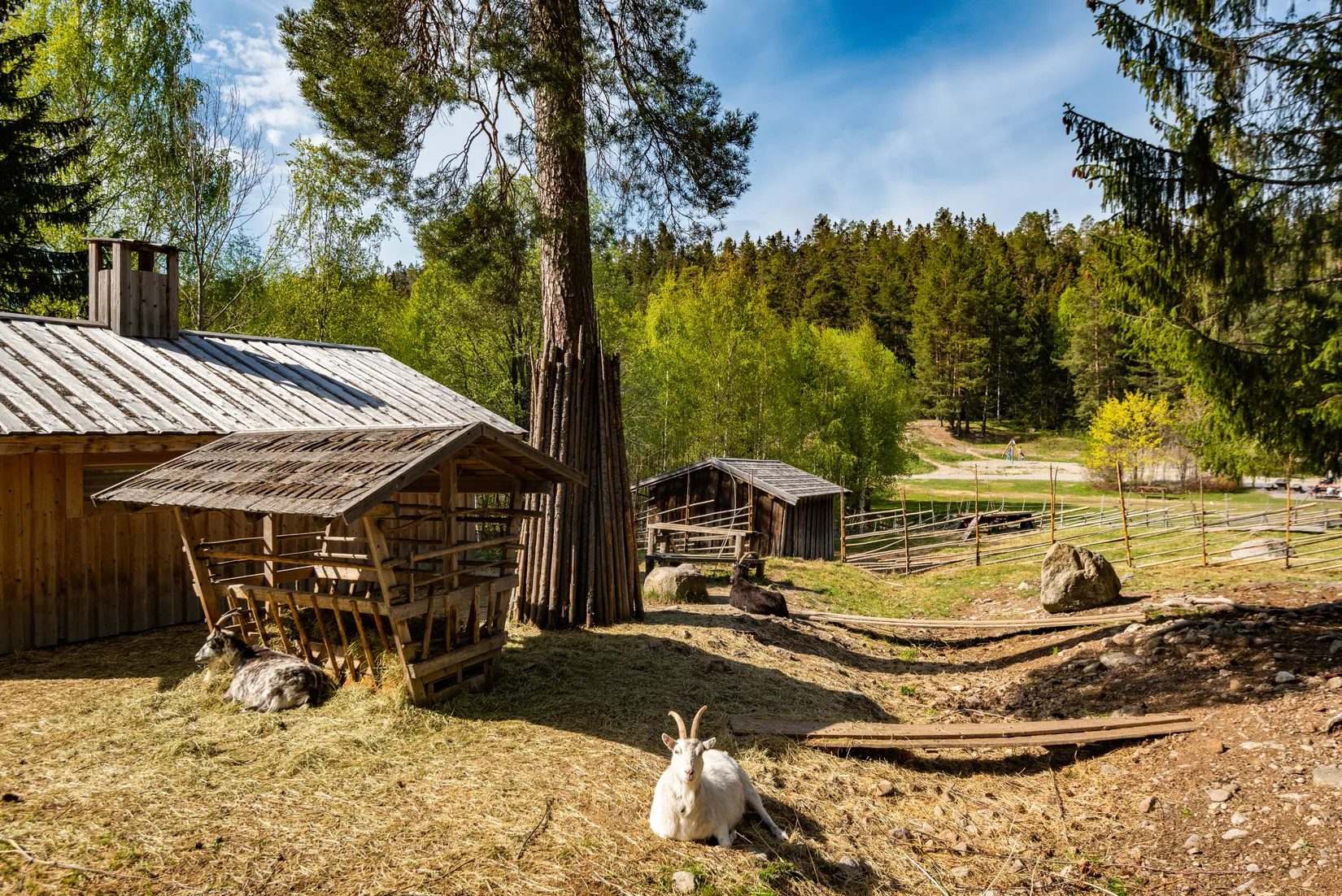 Bostadsrätt, Ludvigsbergsvägen 14, Alliero, Sundsvall