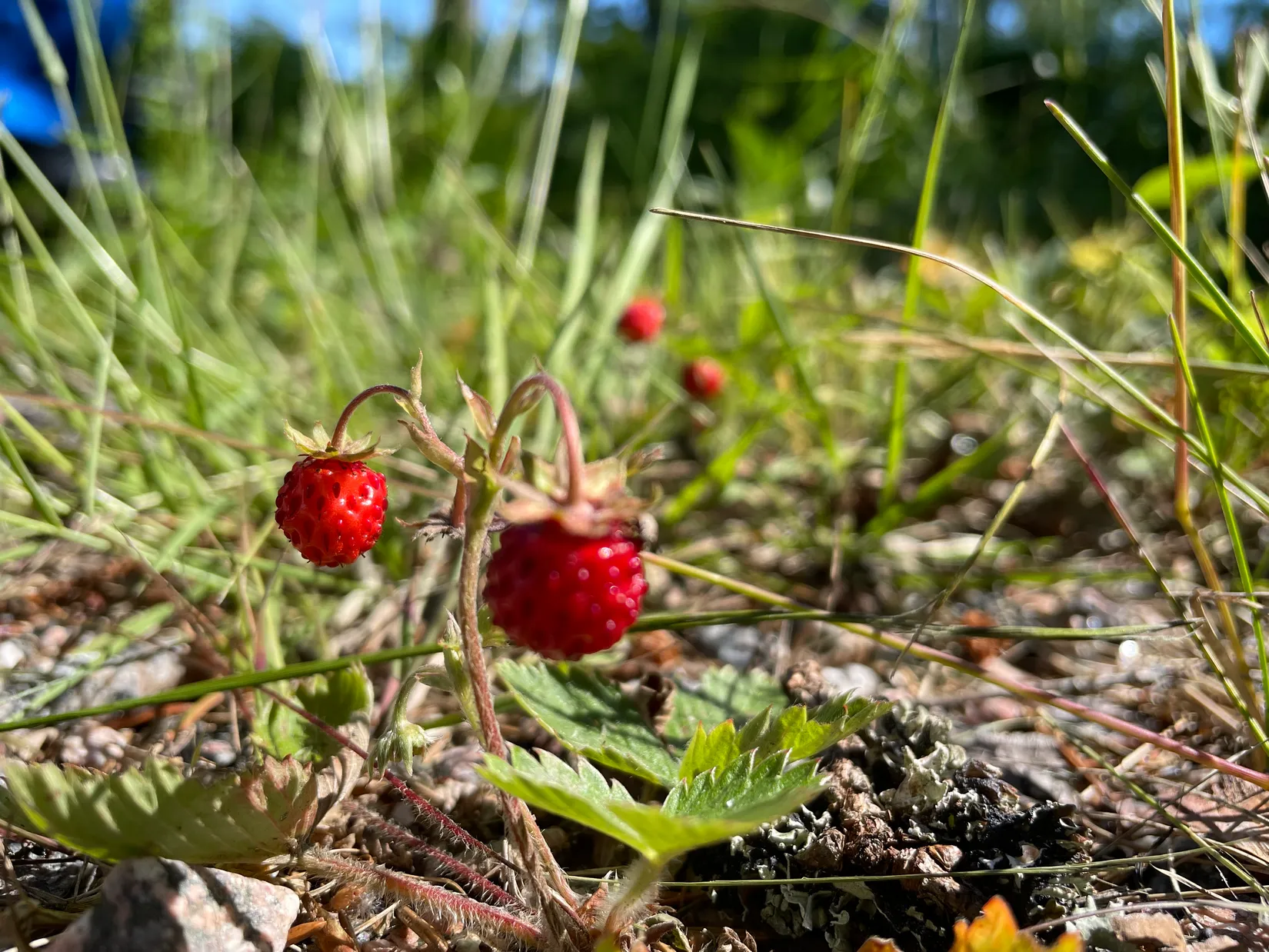 Fritidshus, Västra Grysta STENKULLA, Valdemaren, Katrineholm
