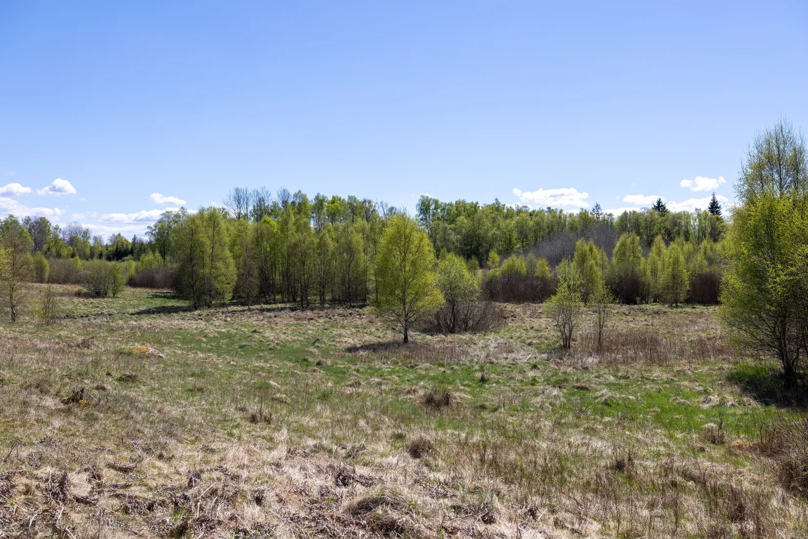 Gård/Skog, Svenshult 37, Svenshult, Laholm