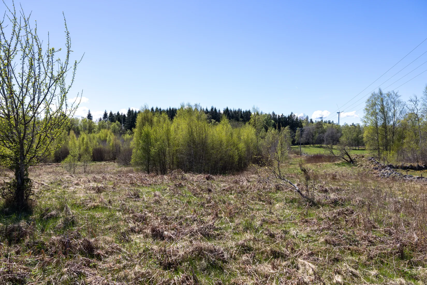 Gård/Skog, Svenshult 37, Svenshult, Laholm
