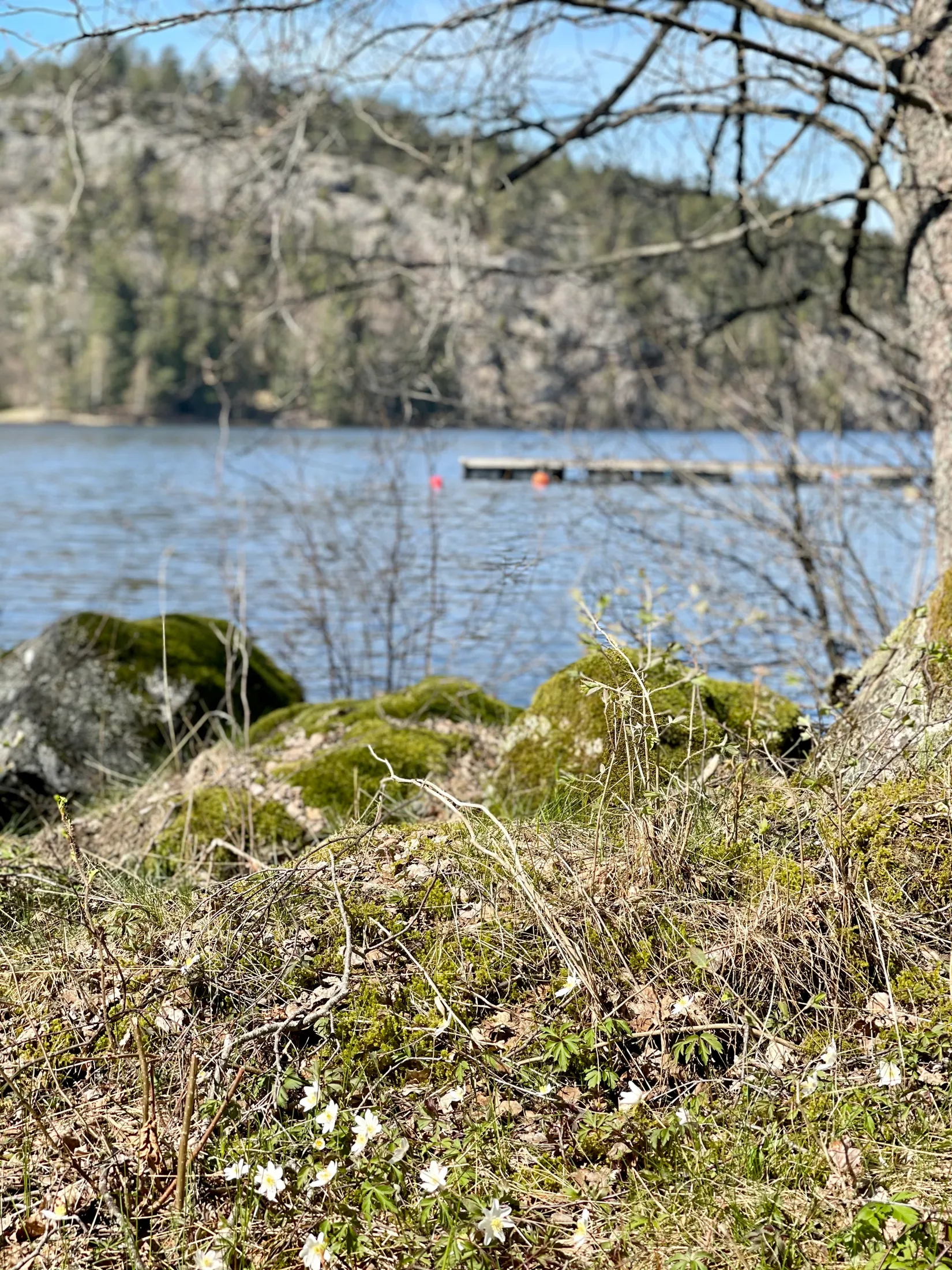 Fritidshus, Kastanjestigen 10, Körnstorp, Gnesta