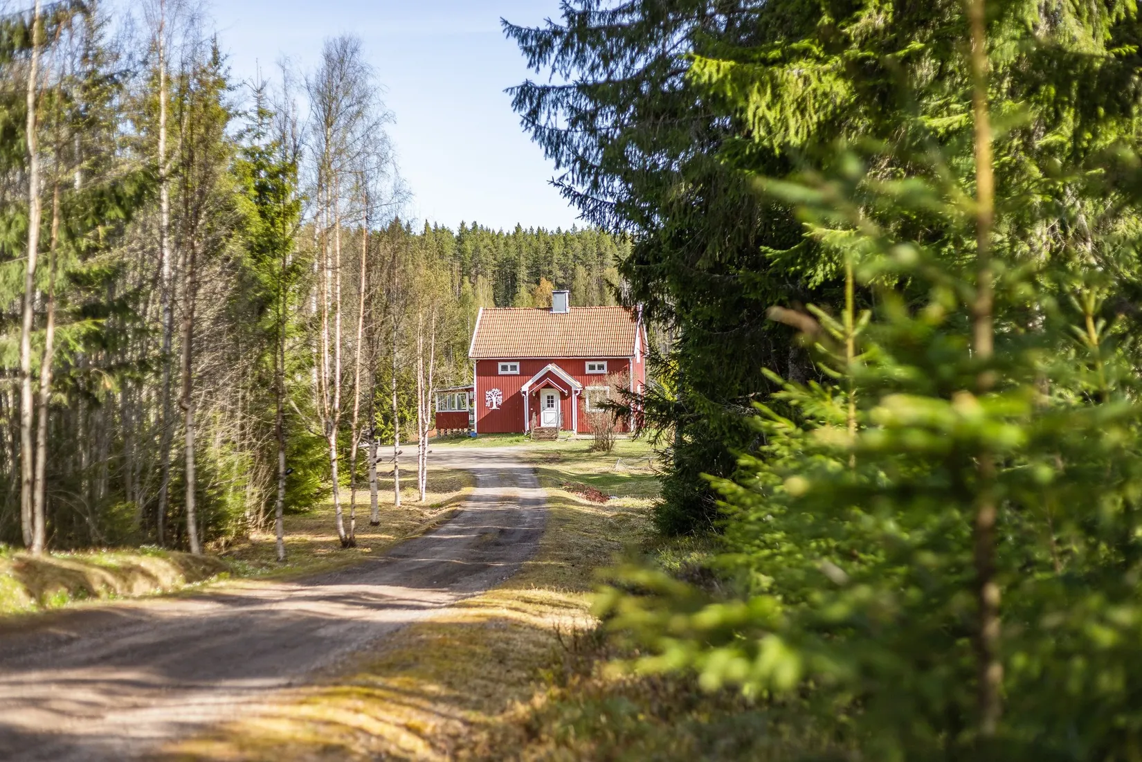 Gård/Skog, Hov 233, Hov, Sundsvall
