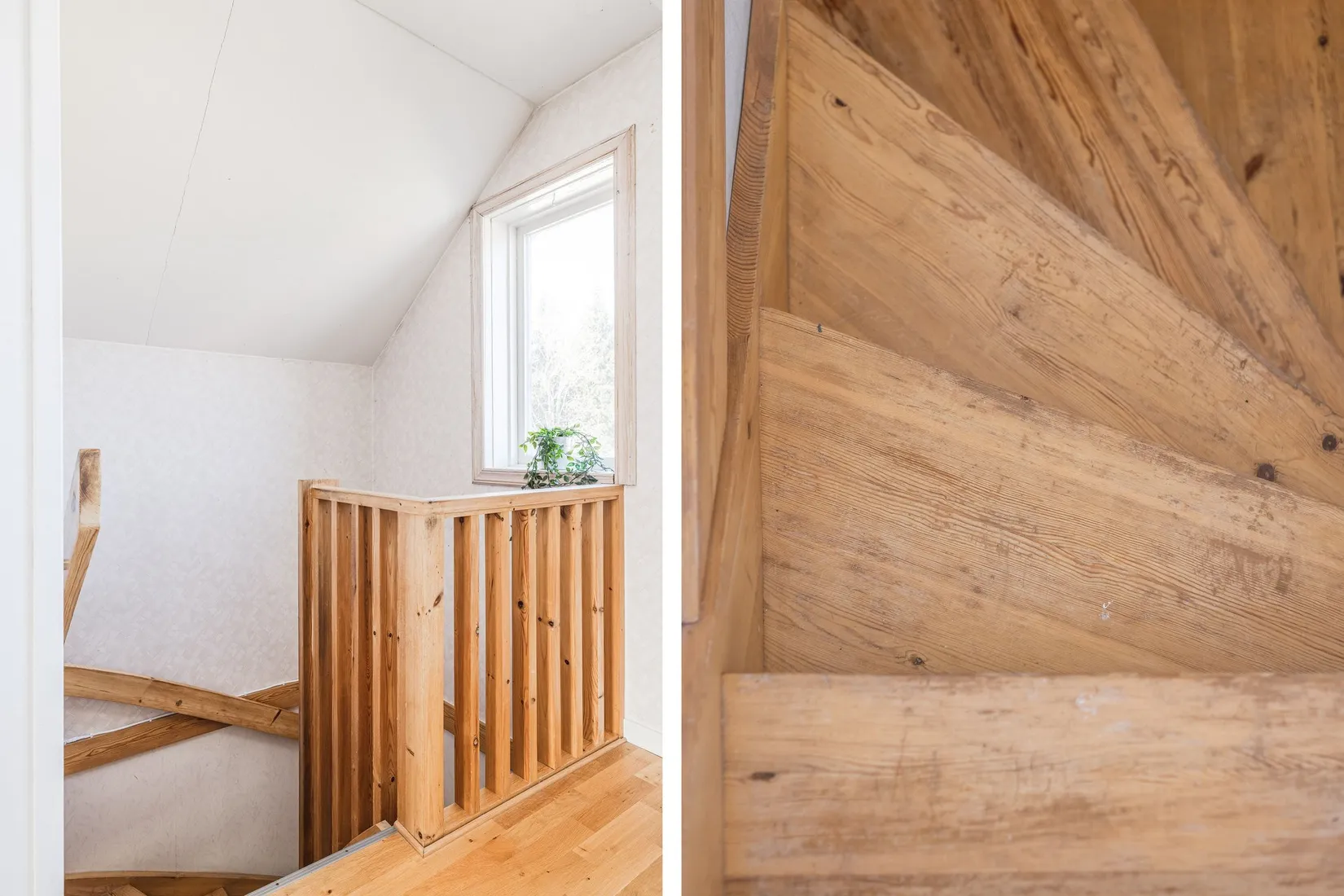 Gård/Skog, Hov 233, Hov, Sundsvall