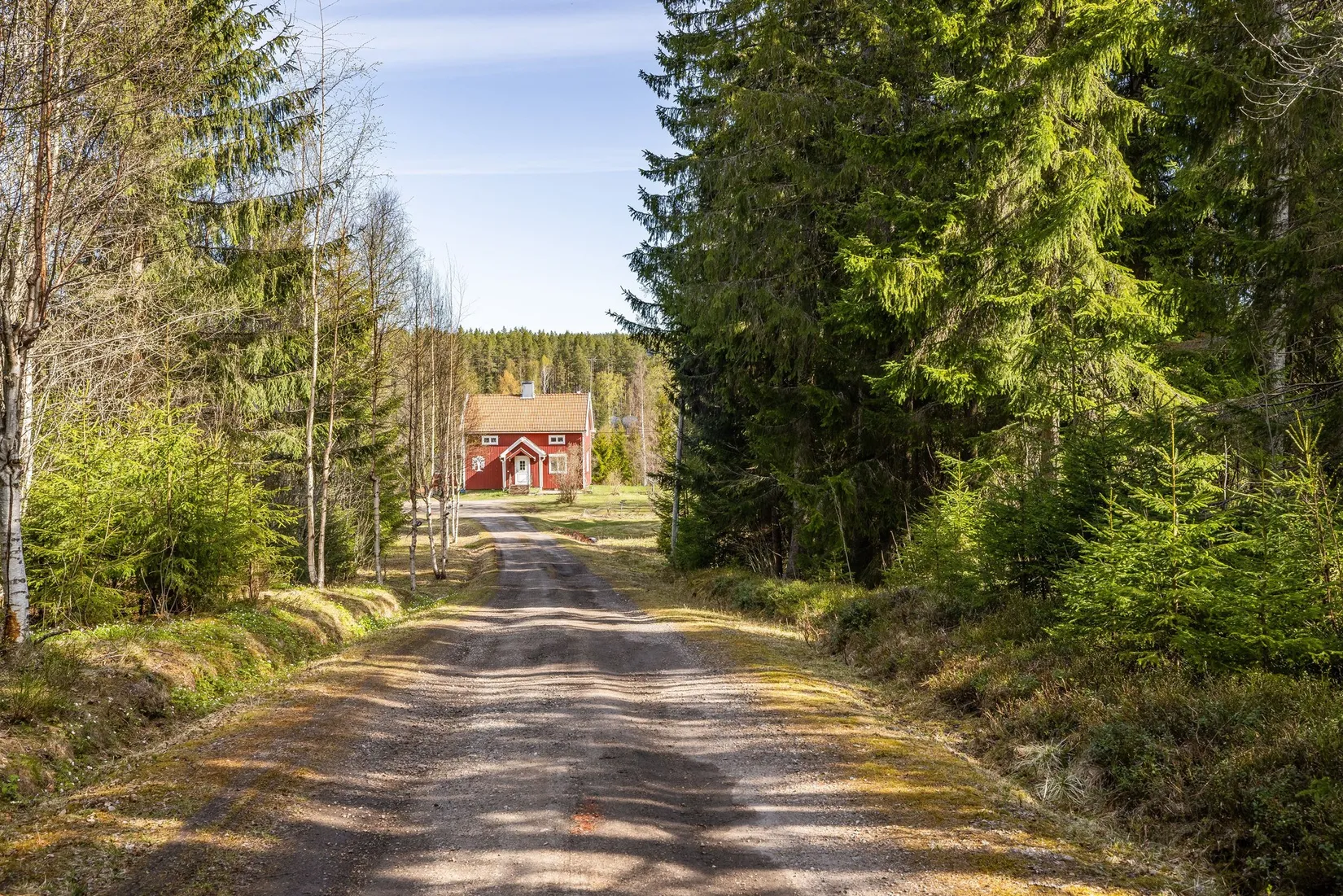 Gård/Skog, Hov 233, Hov, Sundsvall