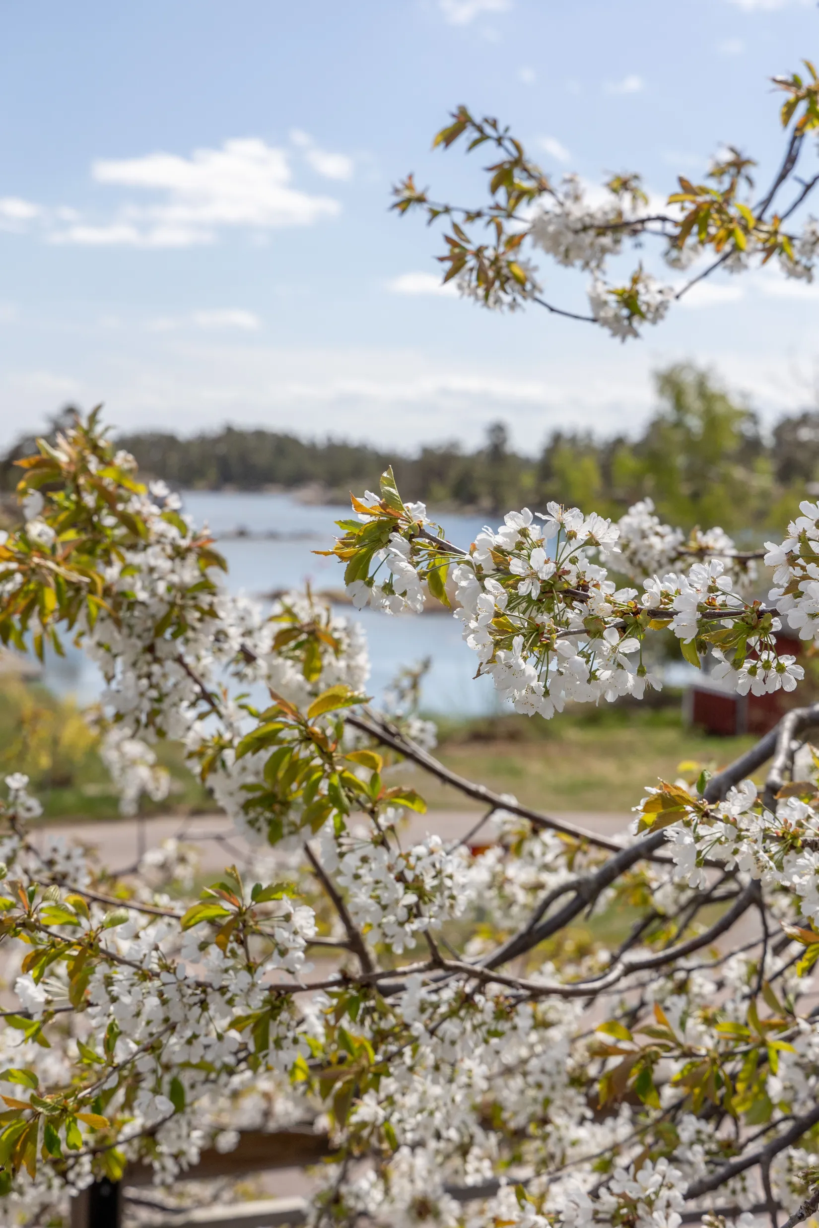 Villa, Harholmsvägen 11, Mysingsö, Oskarshamn