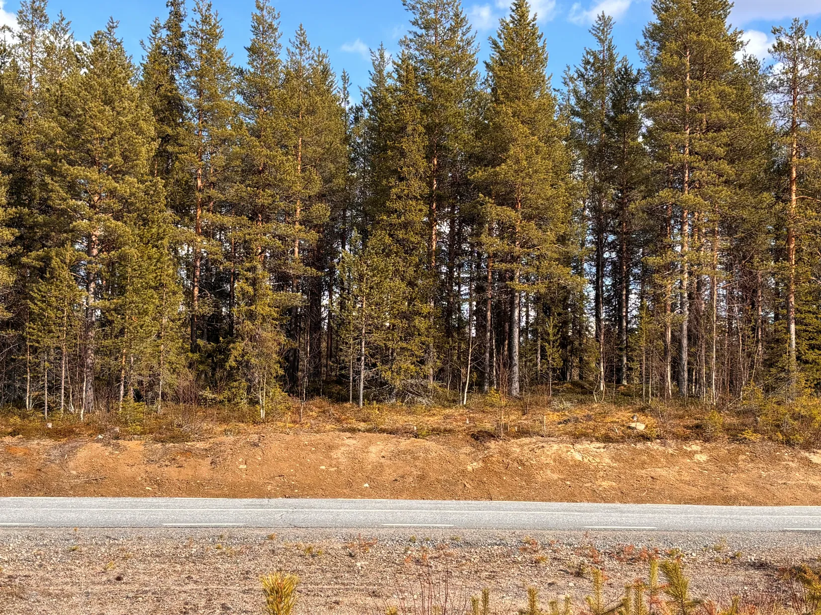 Gård/Skog, NATTAVAARA 17:17, Nattavaara by, Gällivare