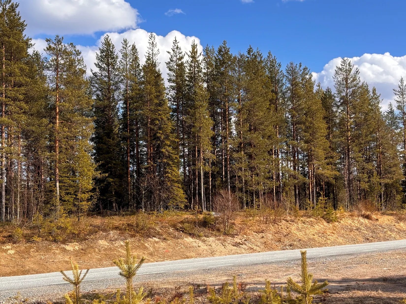 Gård/Skog, NATTAVAARA 17:17, Nattavaara by, Gällivare