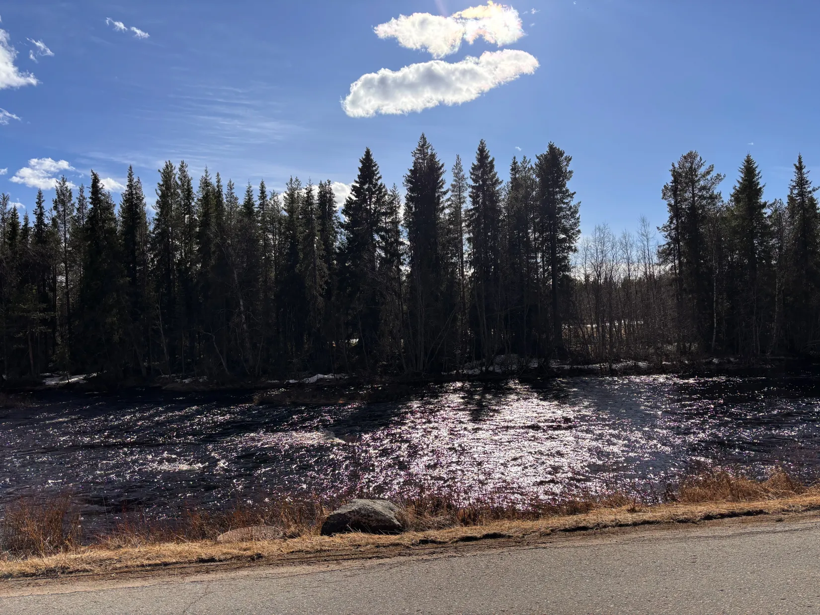 Gård/Skog, NATTAVAARA 17:17, Nattavaara by, Gällivare
