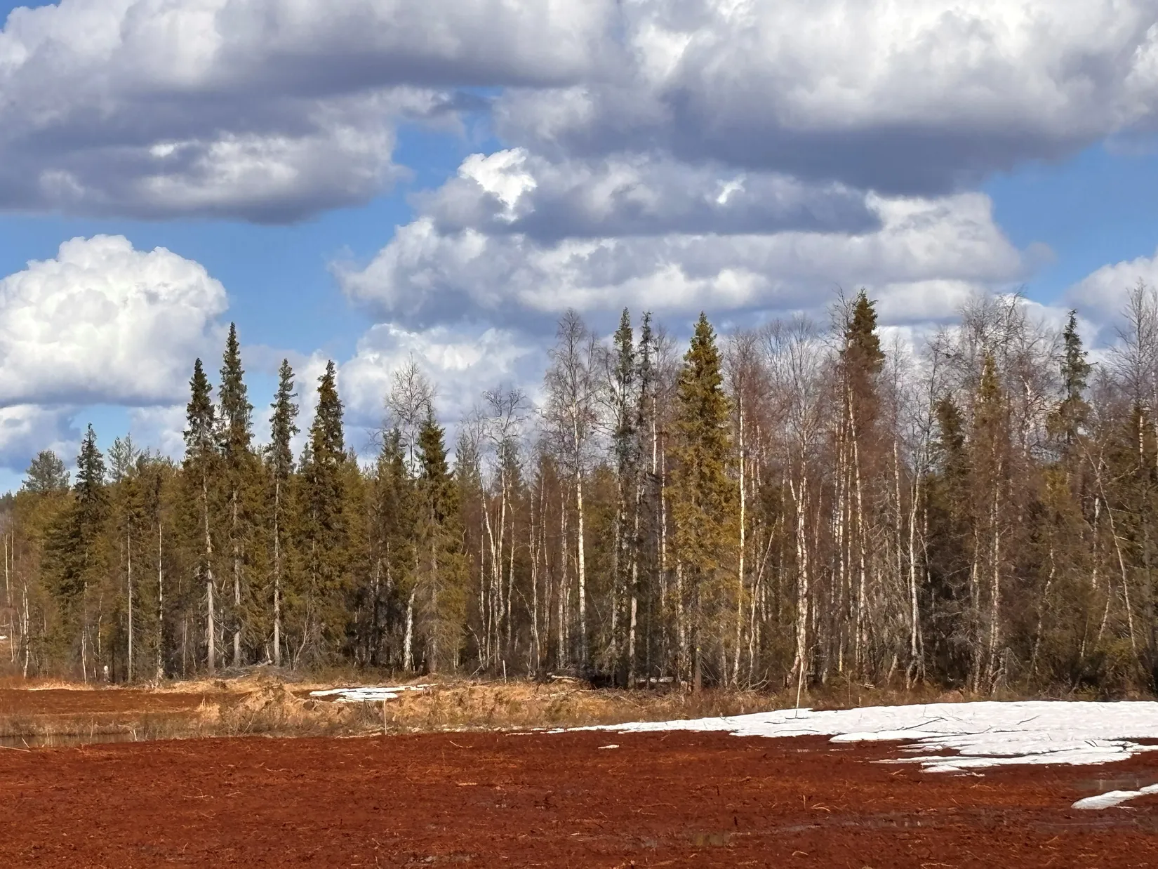 Gård/Skog, NATTAVAARA 17:17, Nattavaara by, Gällivare