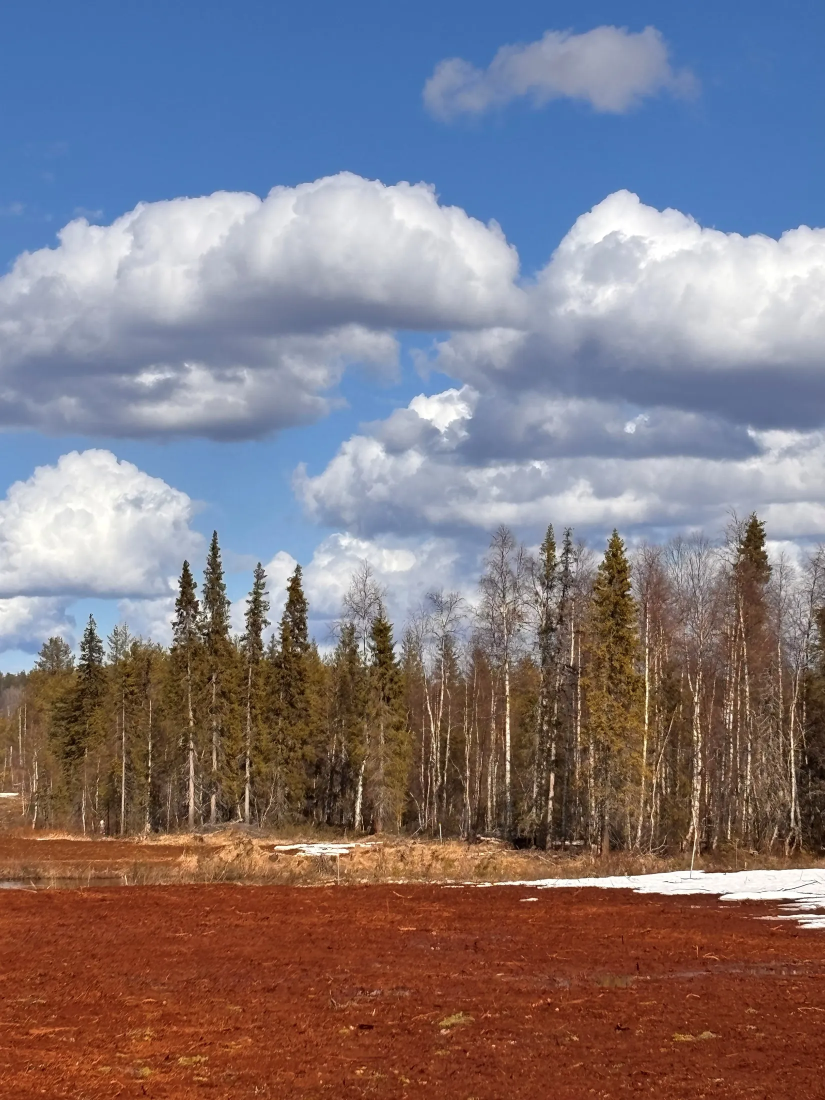 Gård/Skog, NATTAVAARA 17:17, Nattavaara by, Gällivare