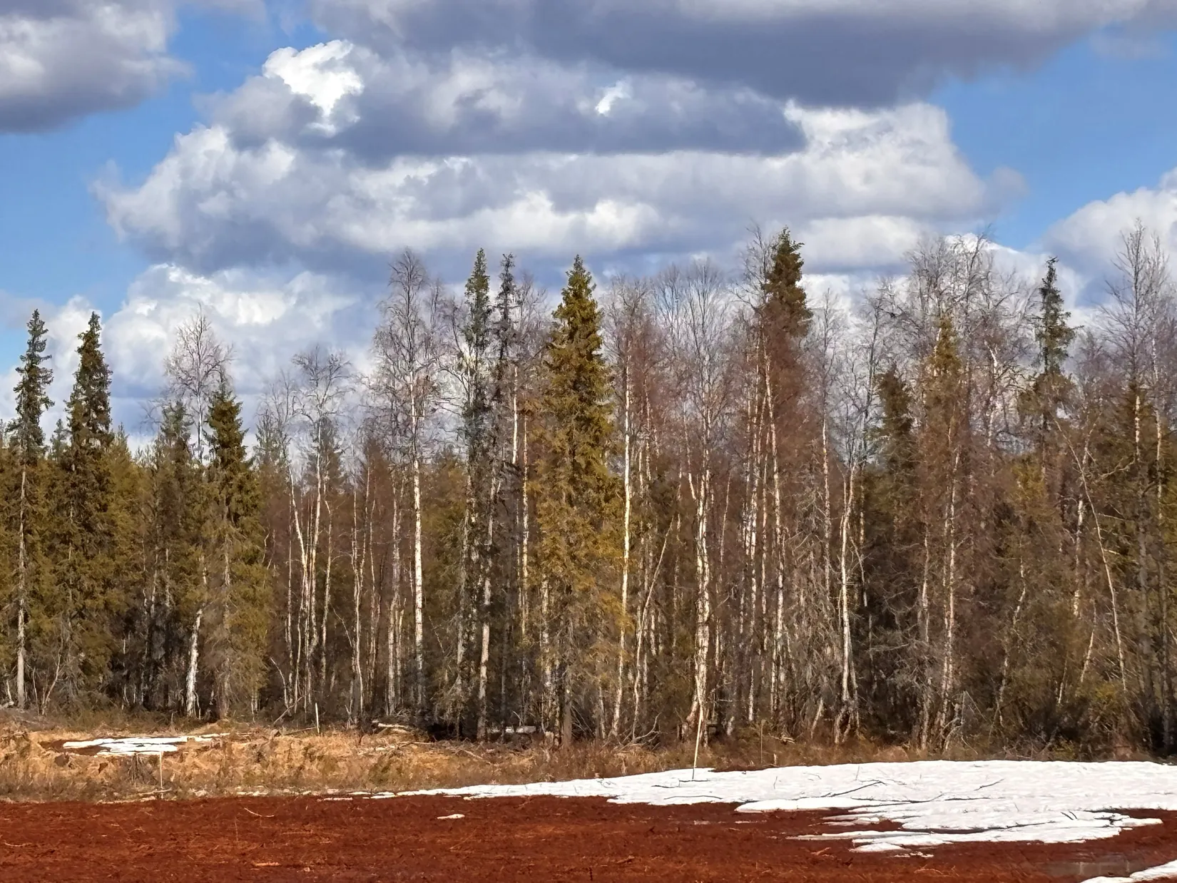 Gård/Skog, NATTAVAARA 17:17, Nattavaara by, Gällivare