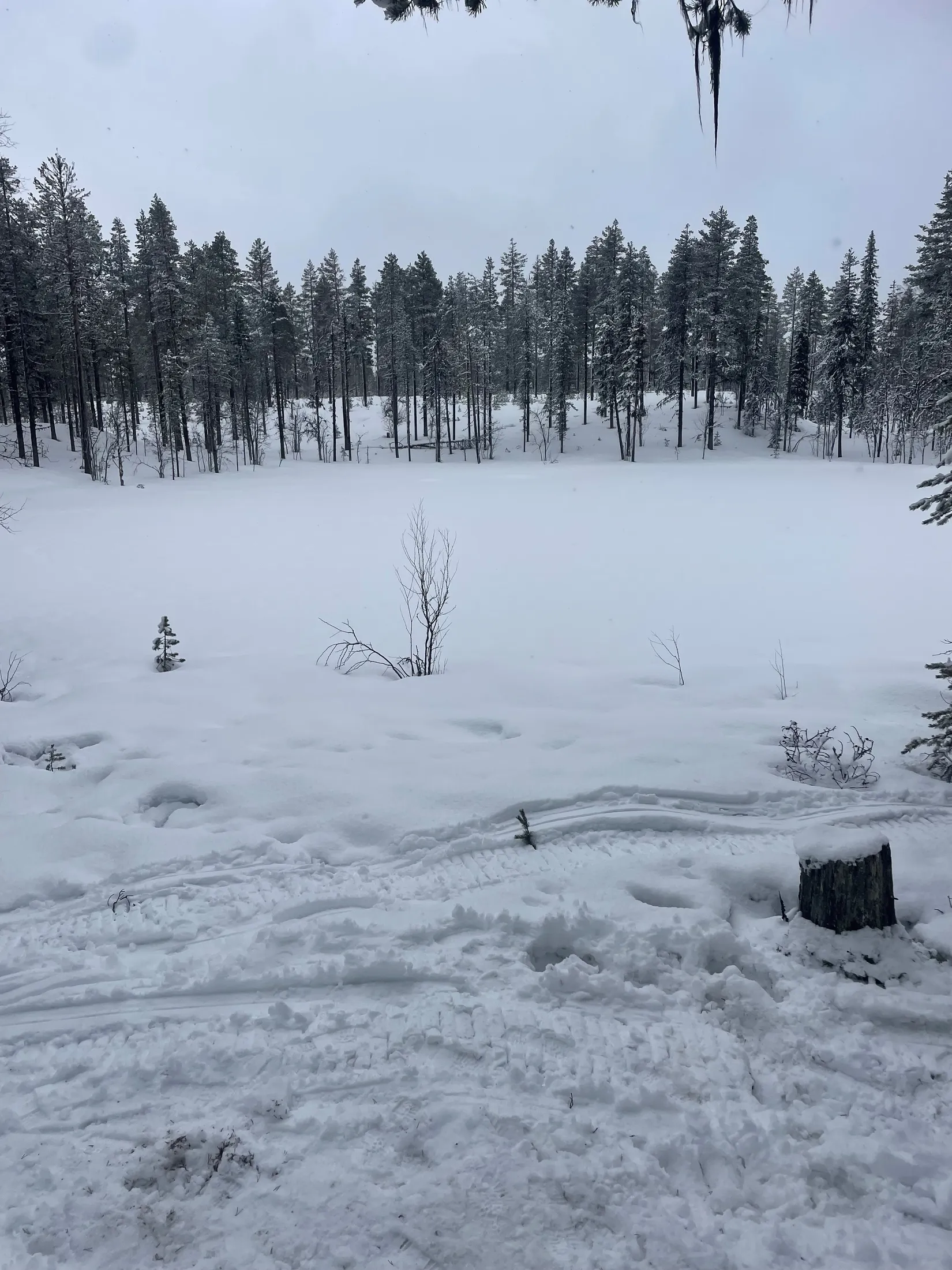 Gård/Skog, NATTAVAARA 17:17, Nattavaara by, Gällivare