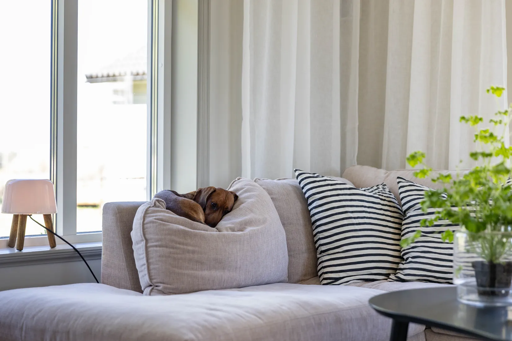 Villa, Skålebo Björkbacken 1, Skeda Udde, landet, Linköping