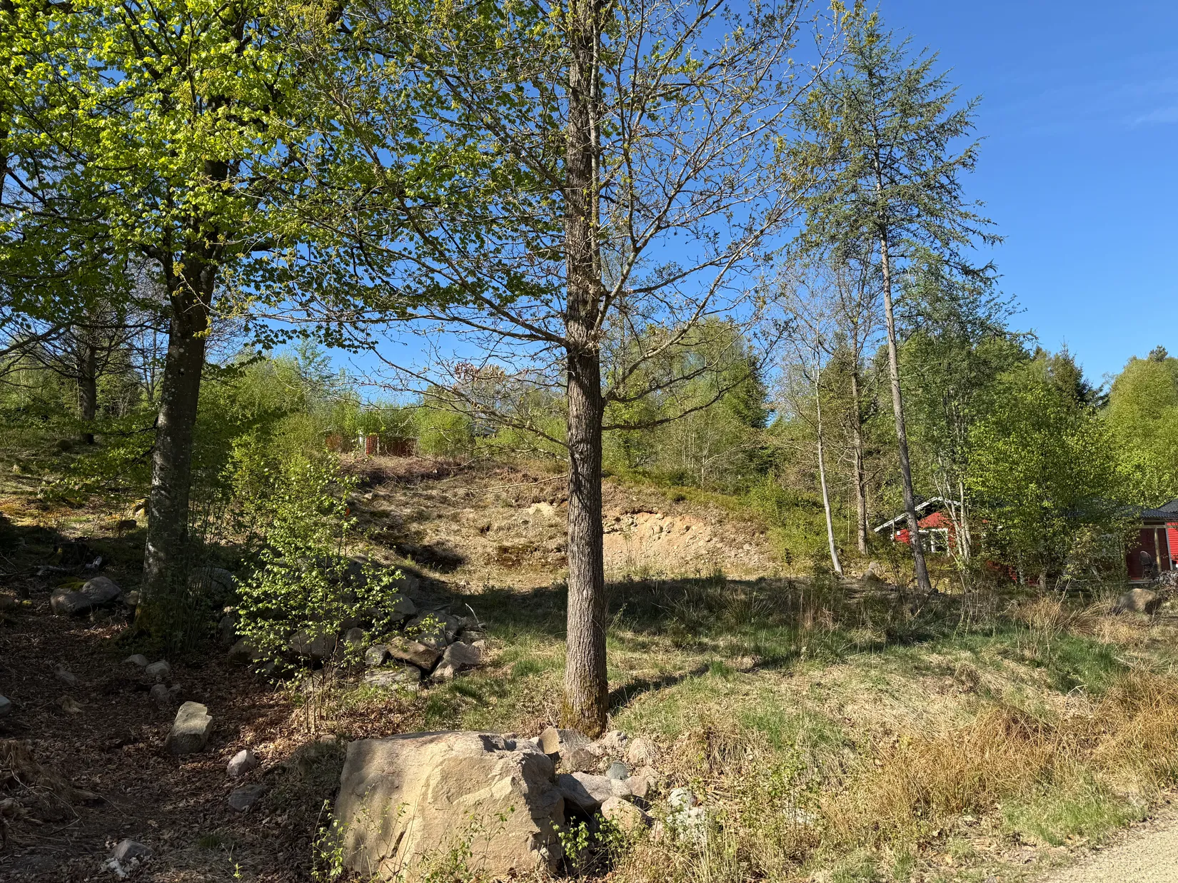 Tomt, Ljungeldsvägen 43, Fasalt, Örkelljunga