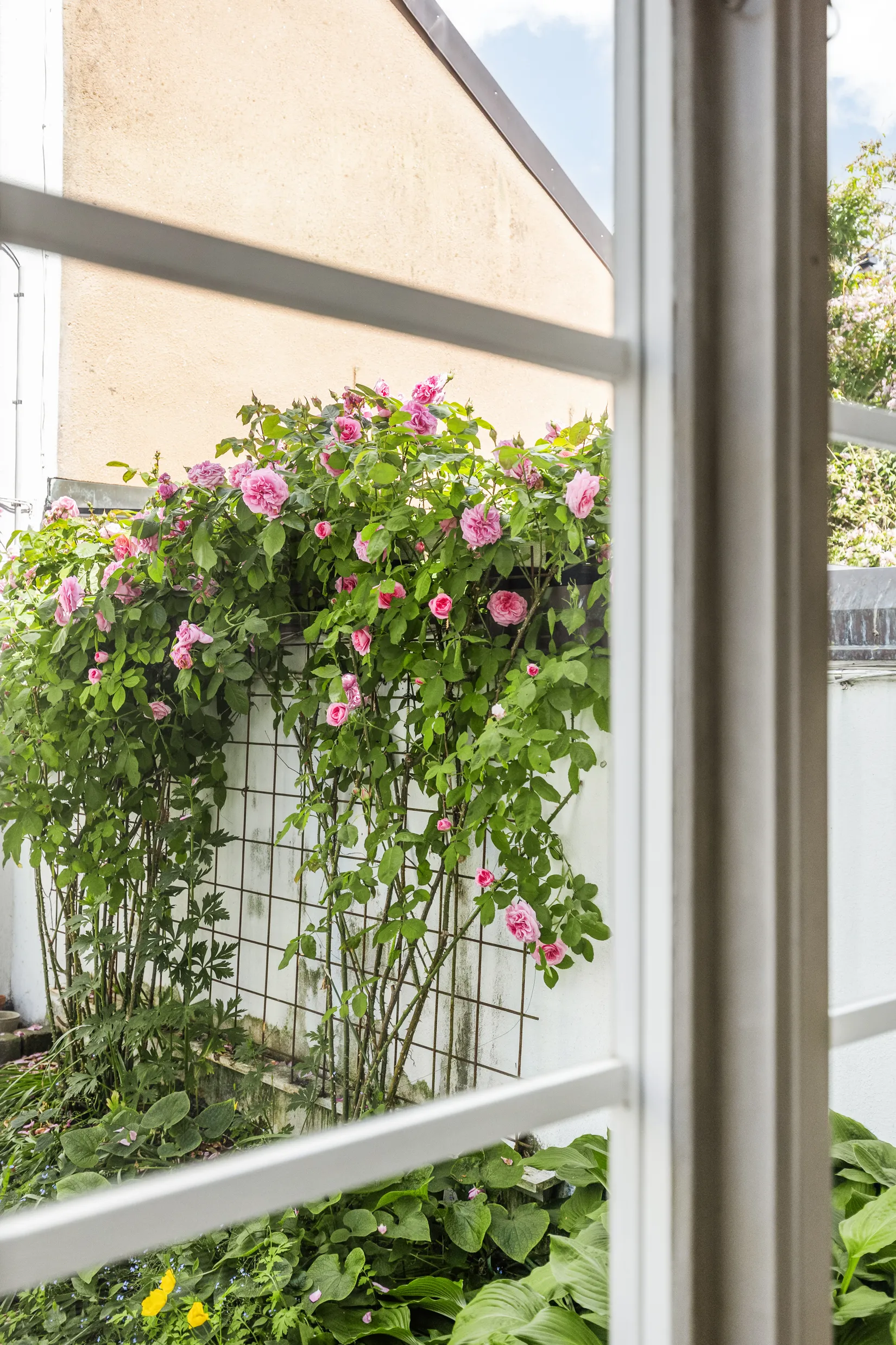Bostadsrätt, Lilla Algatan 3B, Kulturkvadranten, Lund