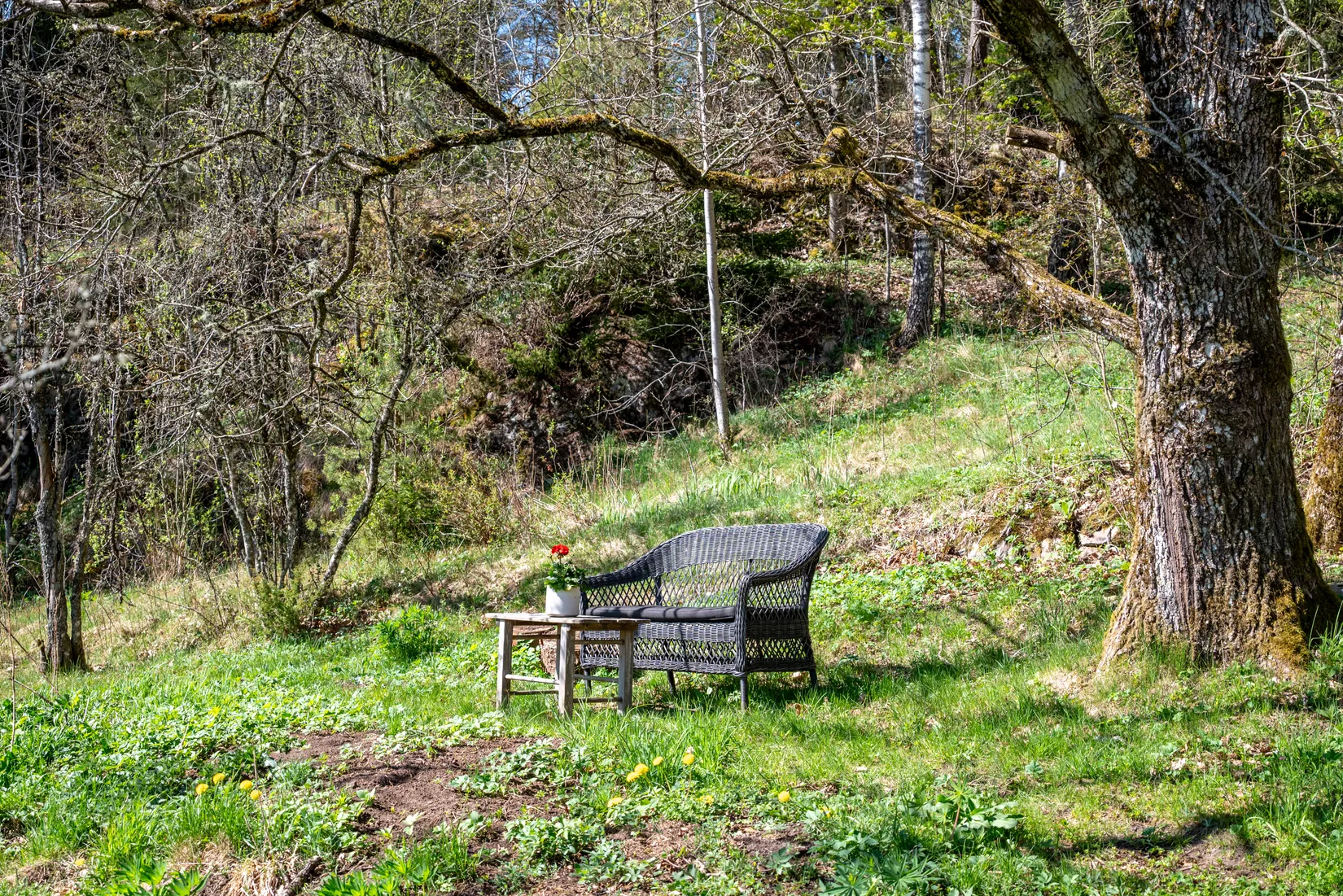 Villa, Förläggarevägen 61, Mark
