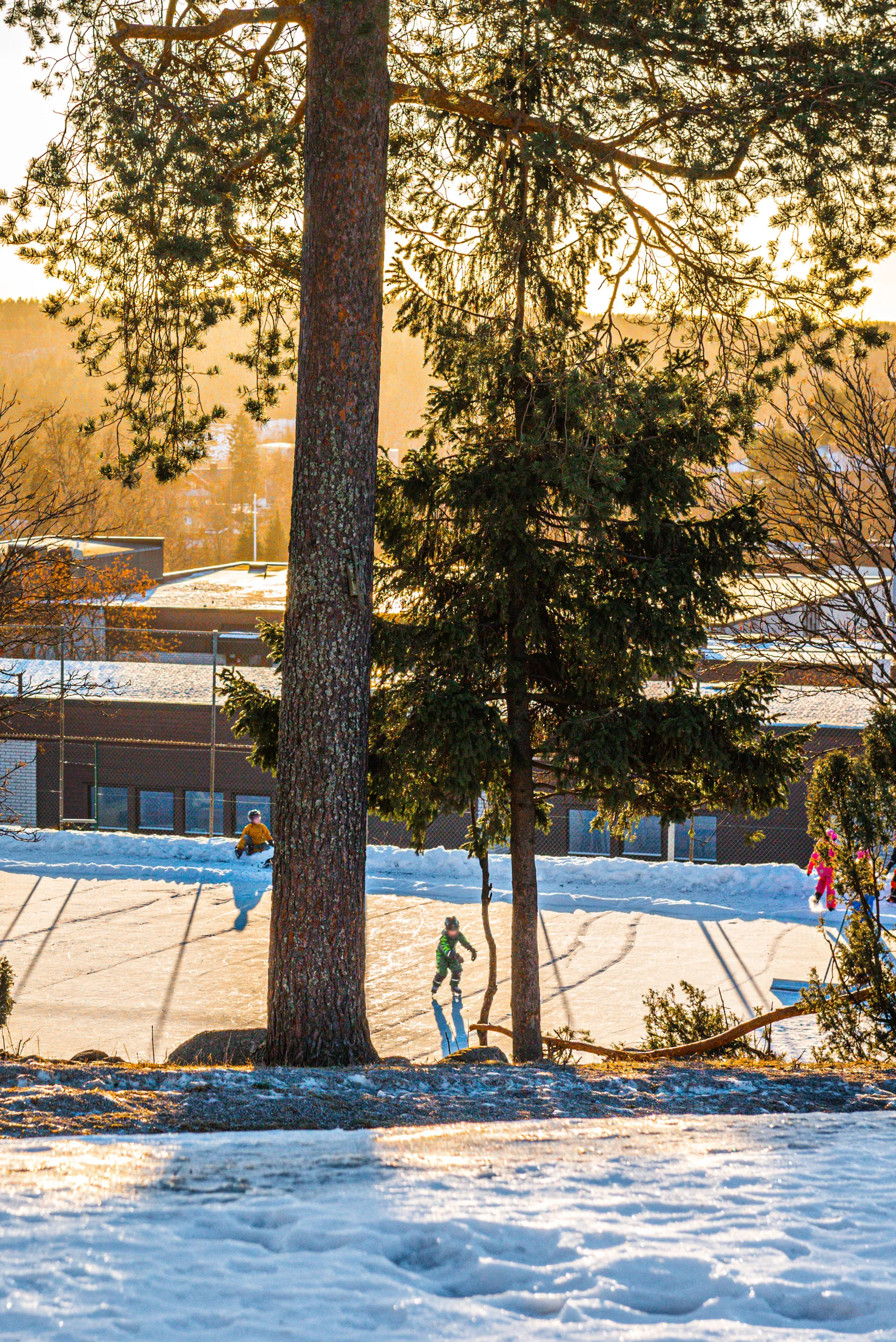 Bostadsrätt, Bågevägen 39C - Markplan, Bosvedjan, Sundsvall