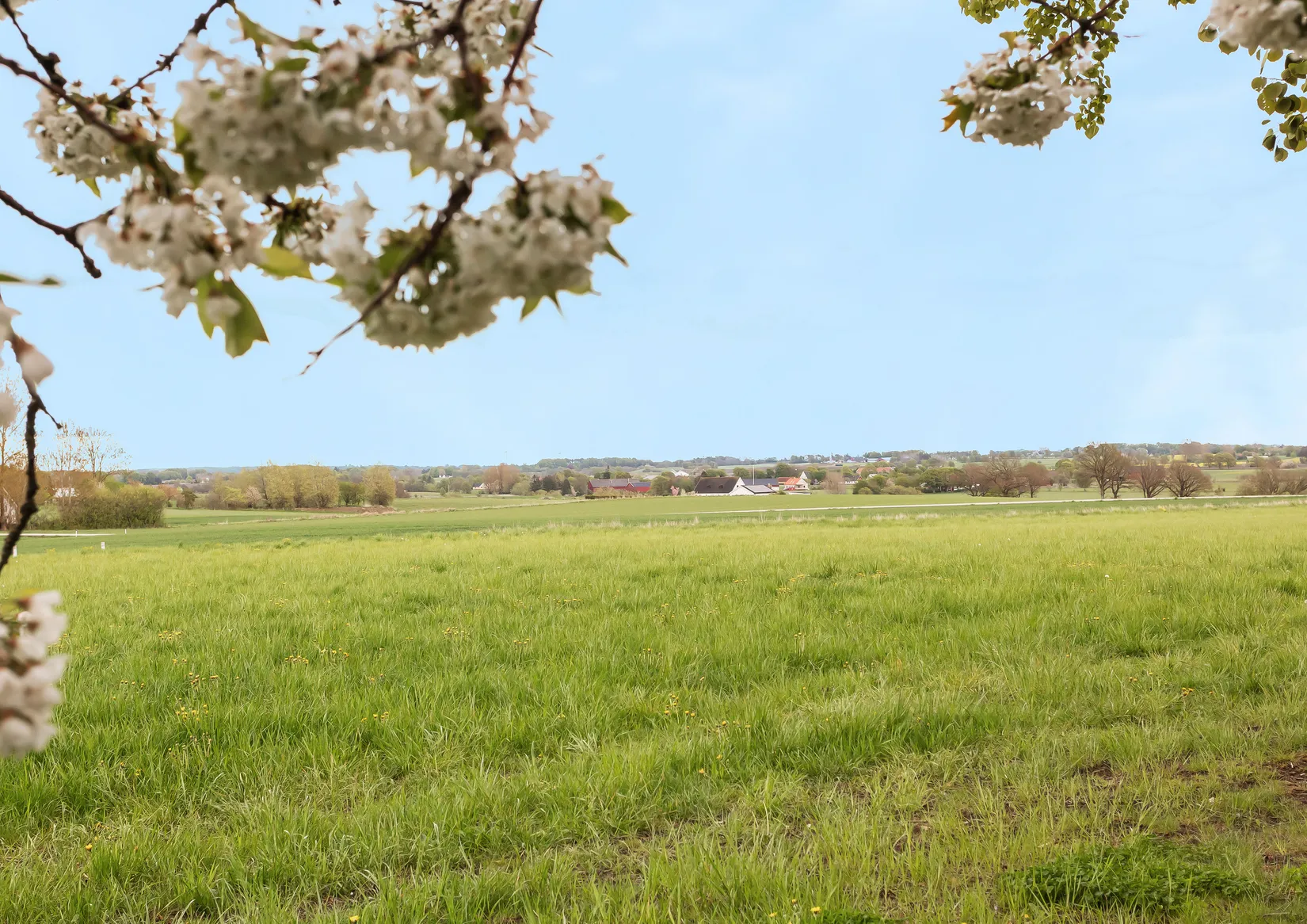 Gård/Skog, Stora Tolångavägen 465-16, Eggelstad, Sjöbo
