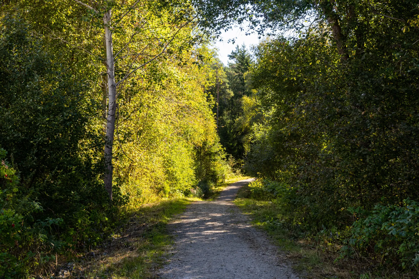 Bostadsrätt, Ulvens gata 20B, Hedvigsborg, Borås