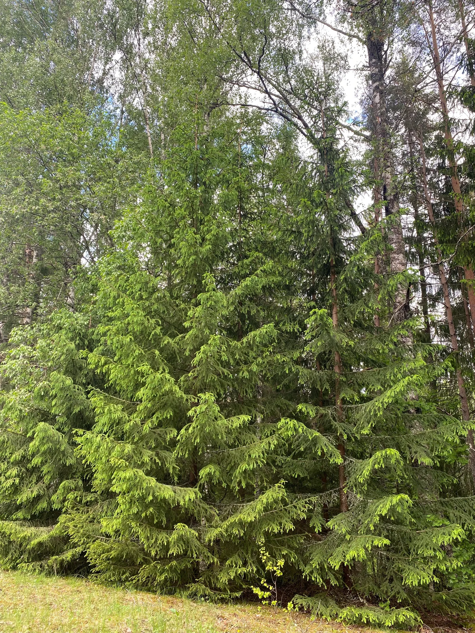 Fritidshus, Fyribergsvägen 24, Björkvassla, Mora