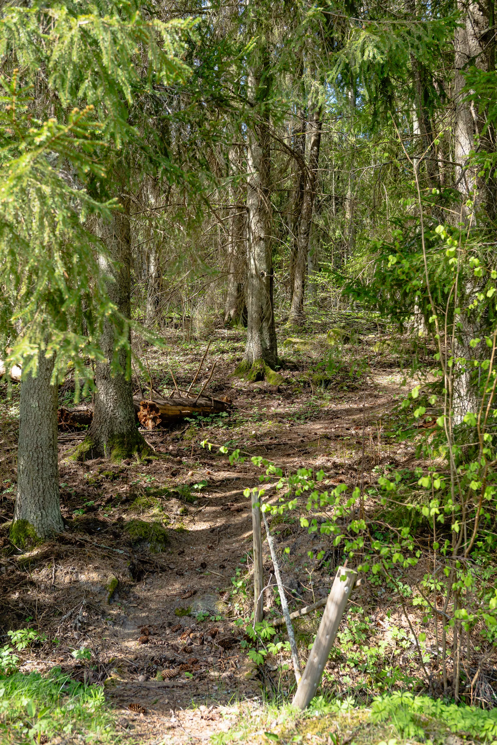 Fritidshus, Dalvägen 29, Lilla Hammarbosäter, Gnesta