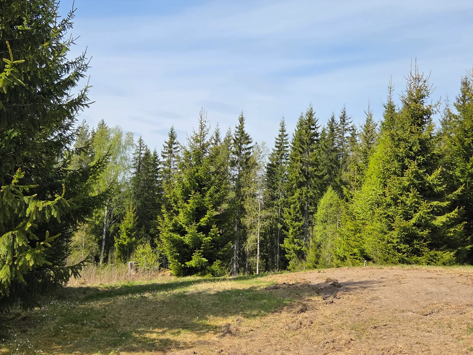Villa, Segenässätern 20, Segenässätern, Torsby