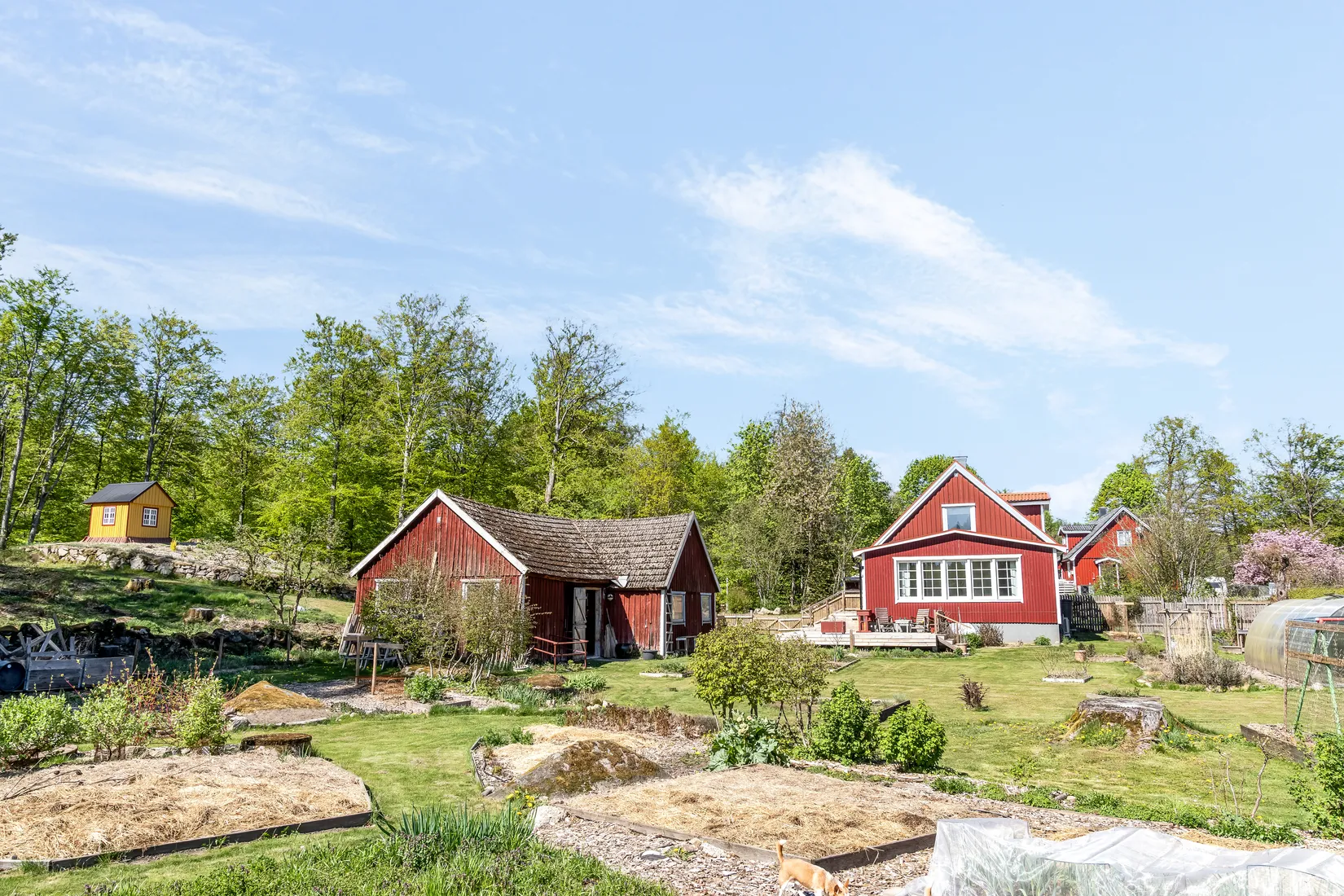 Fritidshus, Östra Ejaröd 2552, Nävlinge, Hässleholm