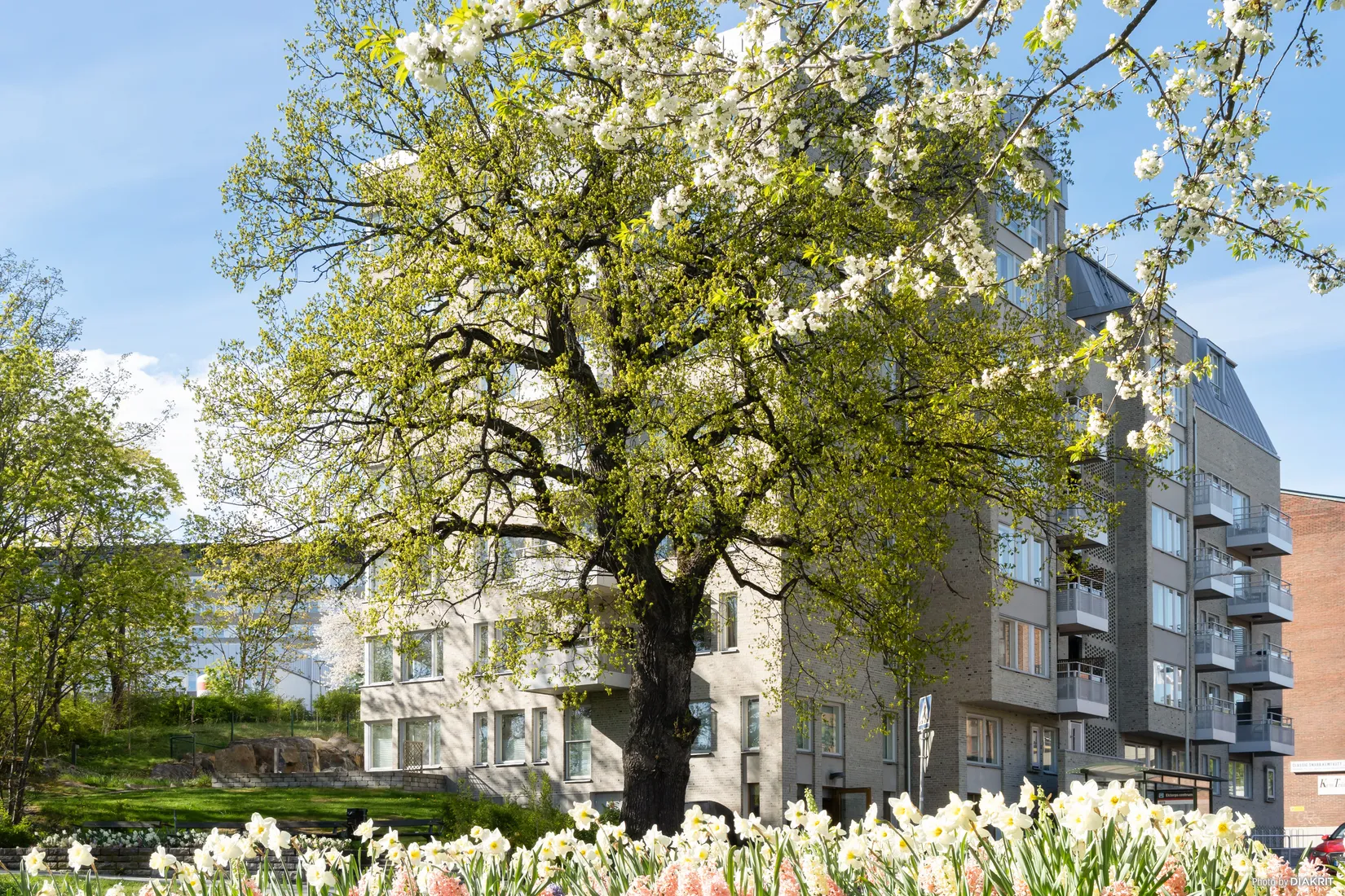 Bostadsrätt, Ektorpsvägen 1, Ektorp, Nacka