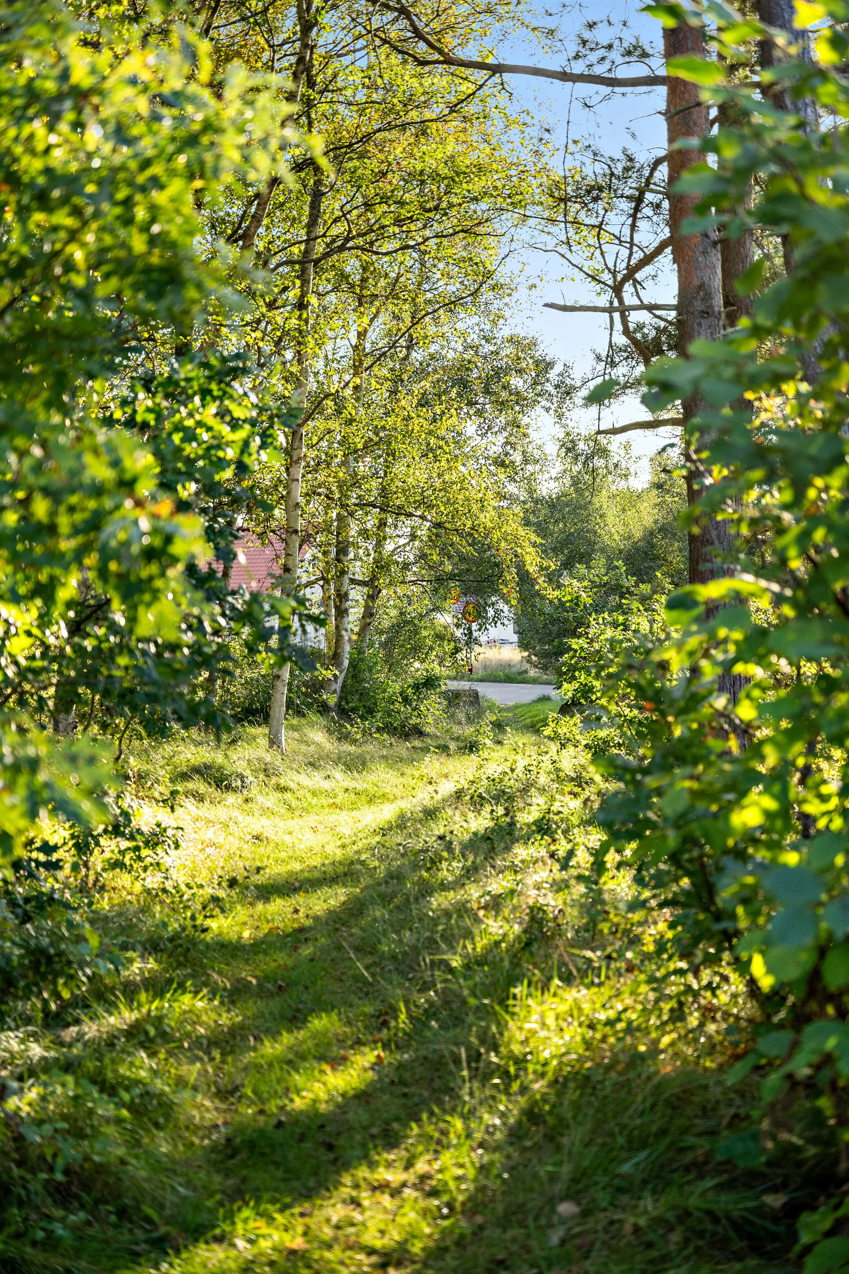 Fritidshus, Nyponrosvägen 22, Sandkärr Rosendal, Falkenberg