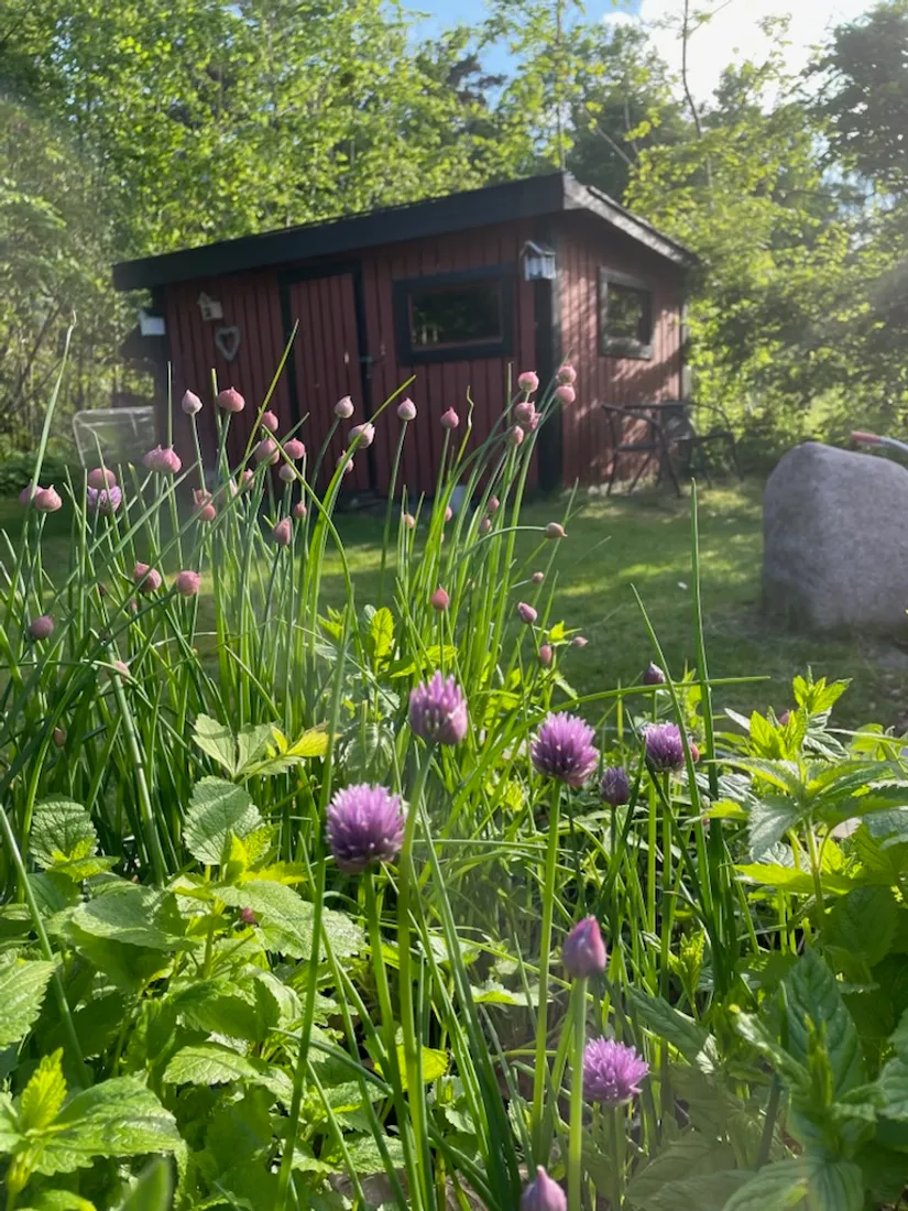 Villa, Fågelvägen 68, Brösarp