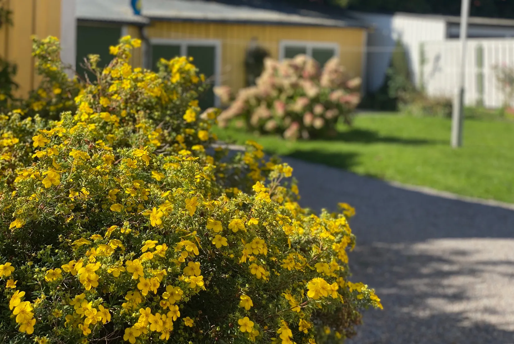 Villa, Västra Trädgårdsgatan 23, Centrum, Nyköping