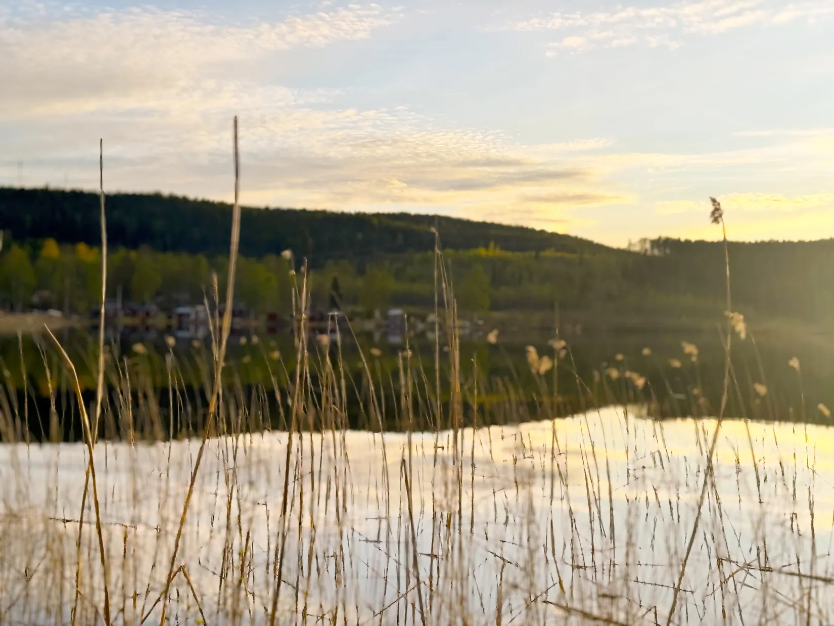 Fritidshus, Kusträsk 32, Kusträsk, Boden