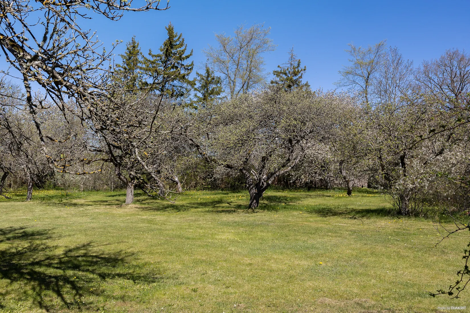 Villa, Bäl Gute 634, Bäl - Norra Gotland, Gotland