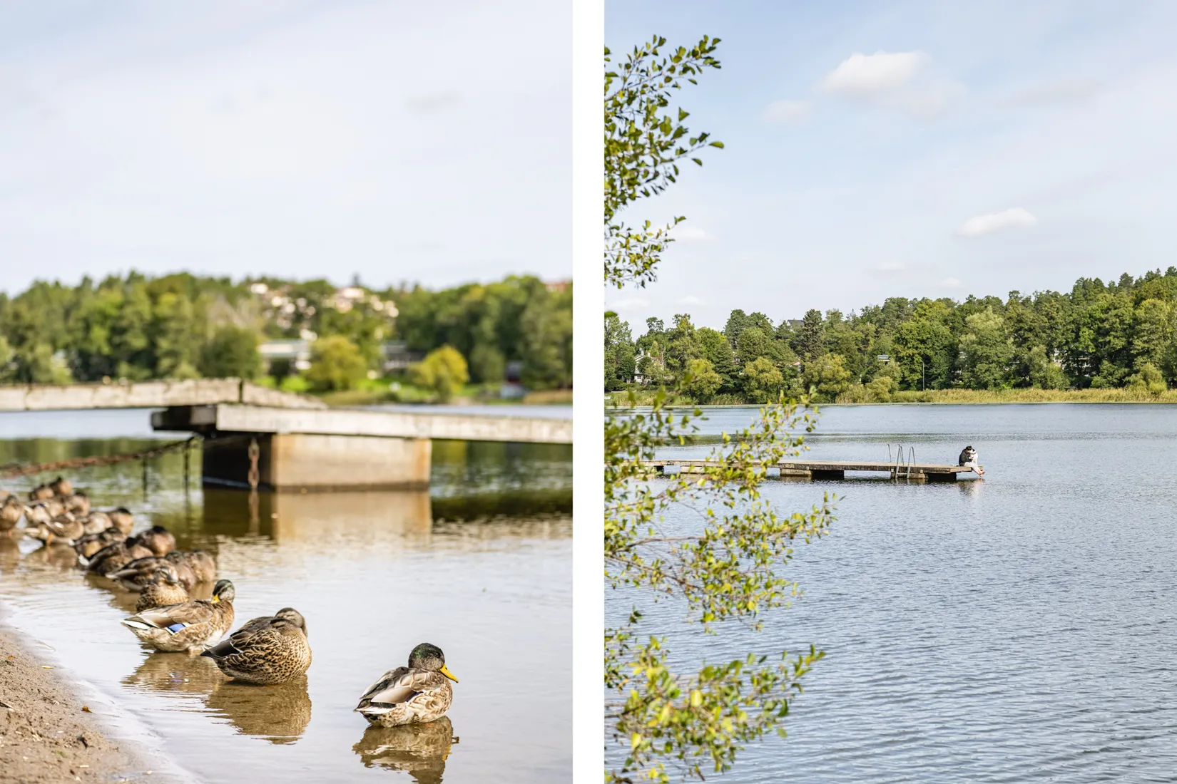 Bostadsrätt, Dalbobranten 25, Sköndal, Stockholm