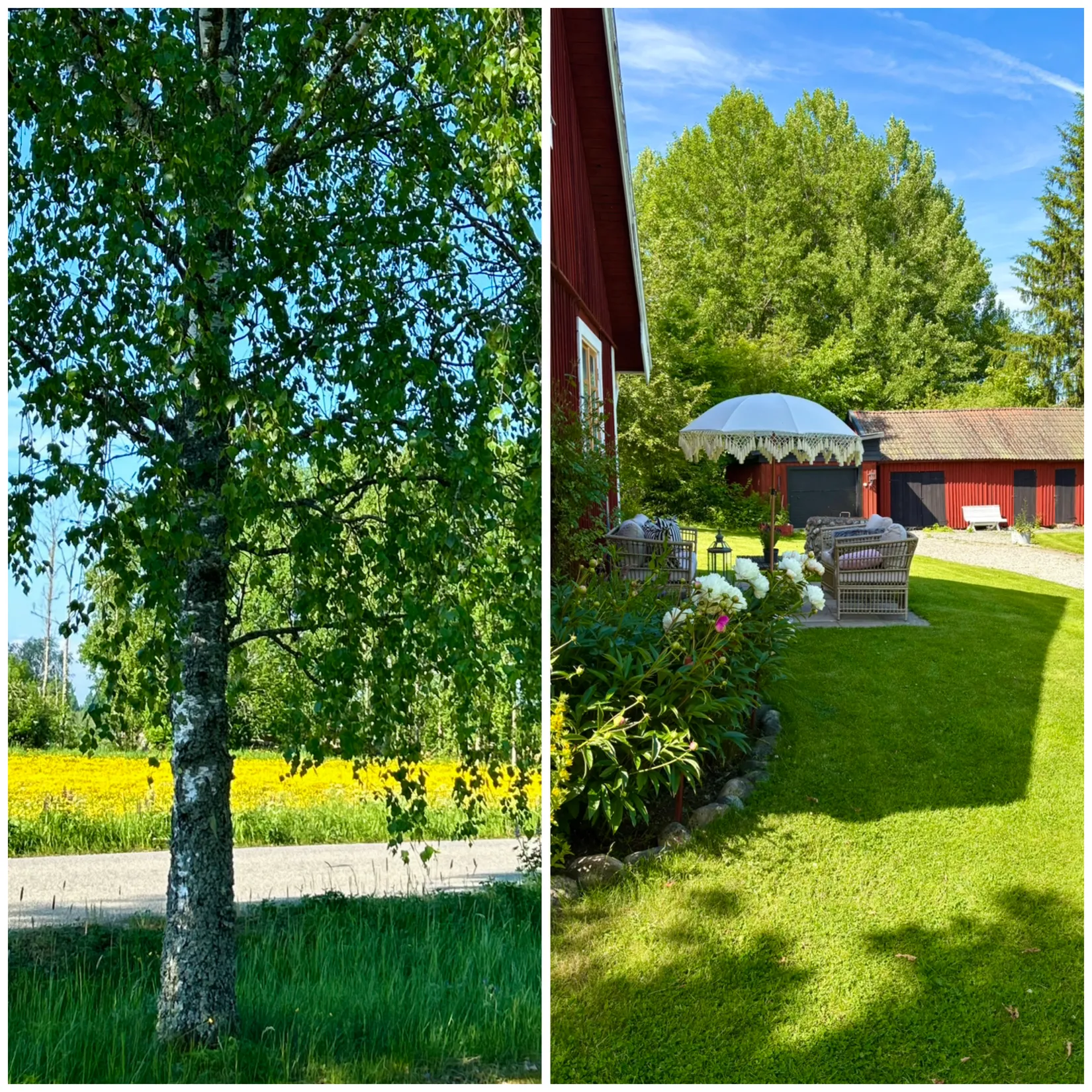 Gård/Skog, Västra Bor 189, Lindesberg