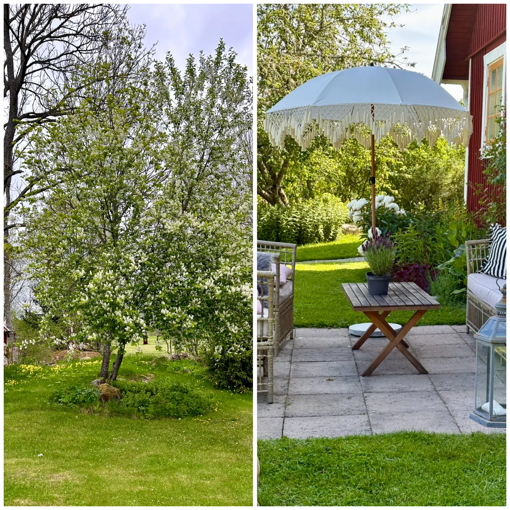 Gård/Skog, Västra Bor 189, Lindesberg