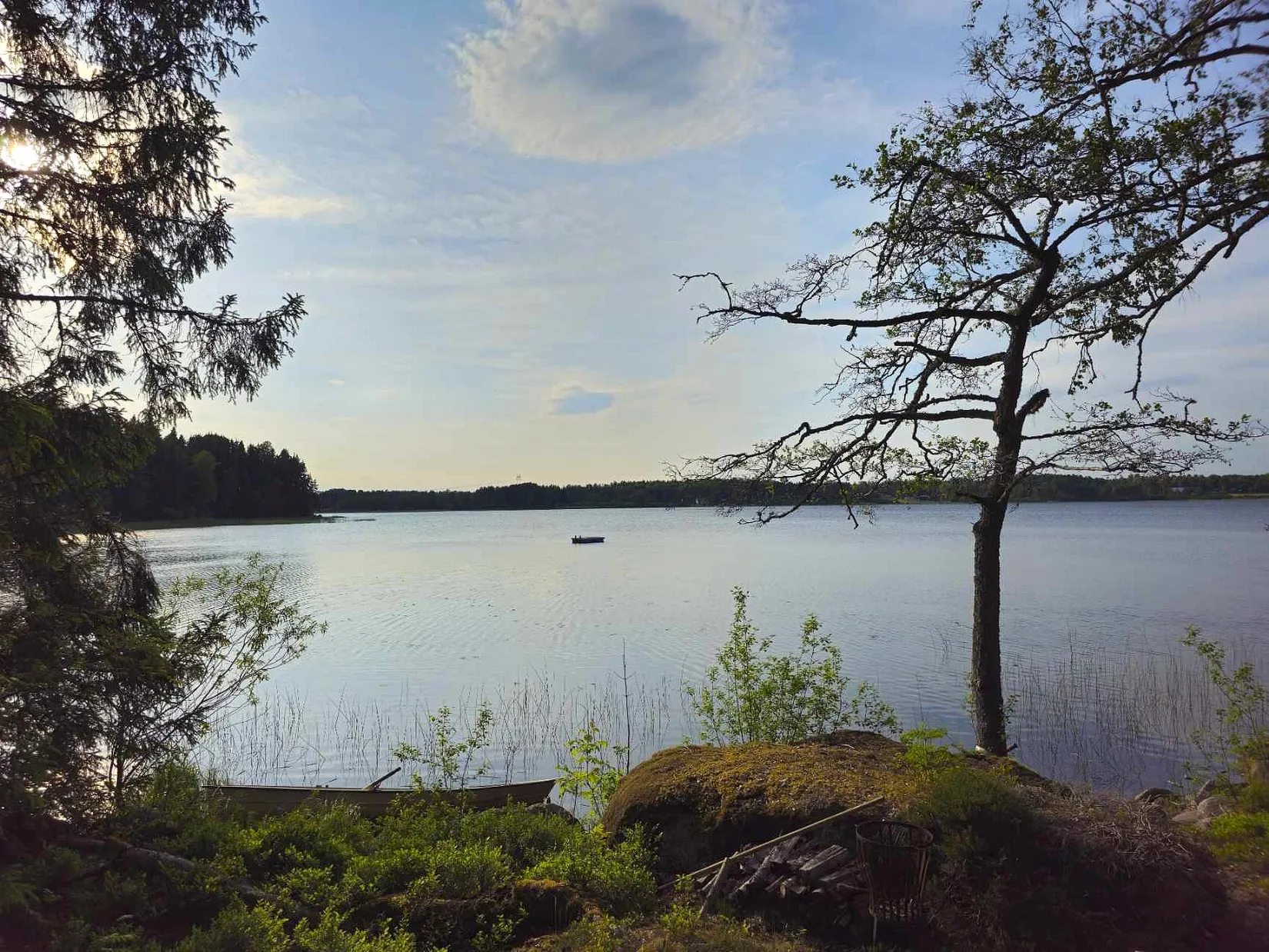 Gård/Skog, Västra Bor 189, Lindesberg