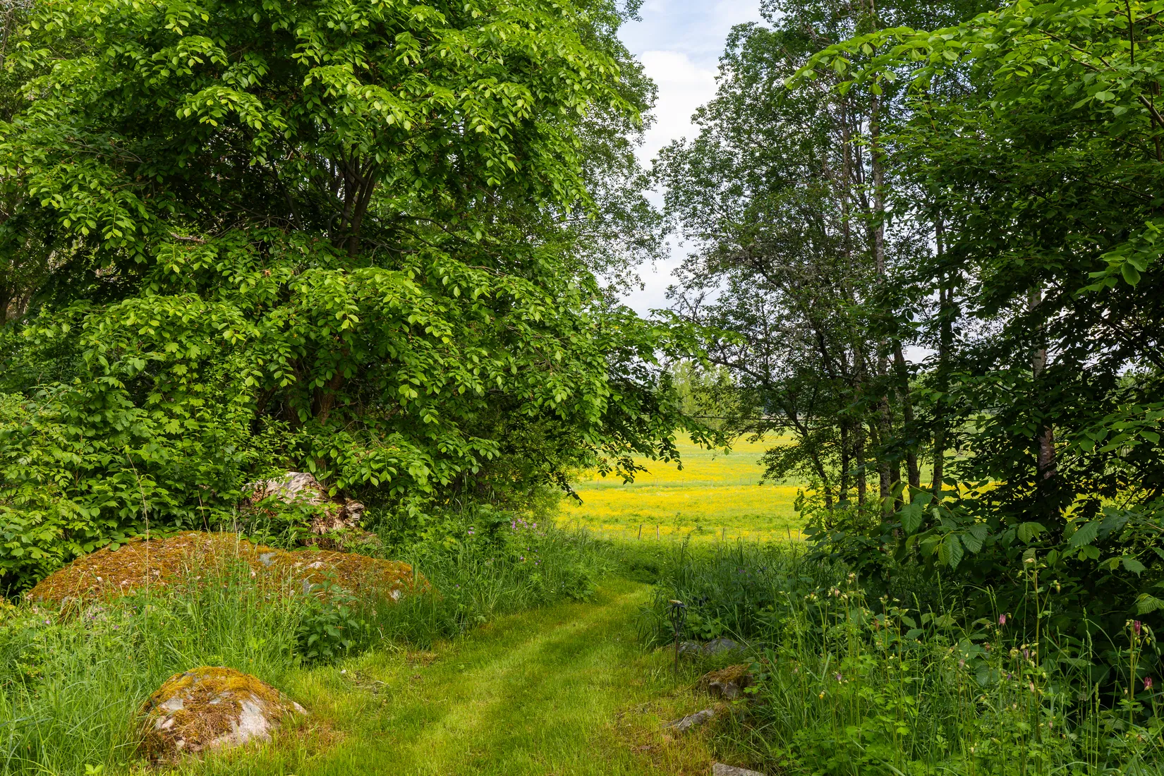 Gård/Skog, Västra Bor 189, Lindesberg