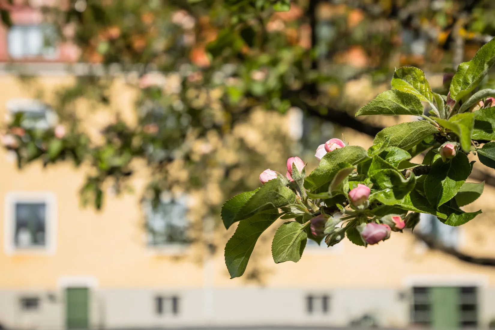 Bostadsrätt, S:ta Gertruds gata 10A, Fredriksskans, Kalmar