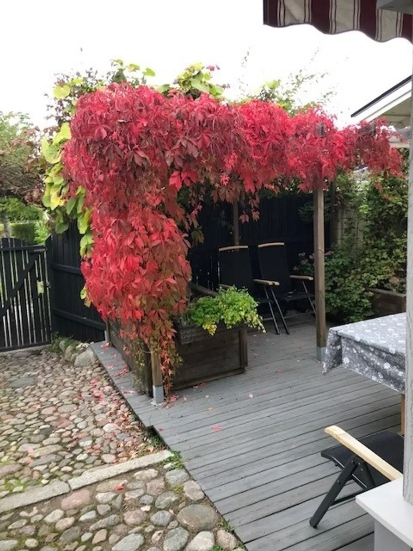 Radhus, Stenvägen 61C, Stenvägen, Strängnäs