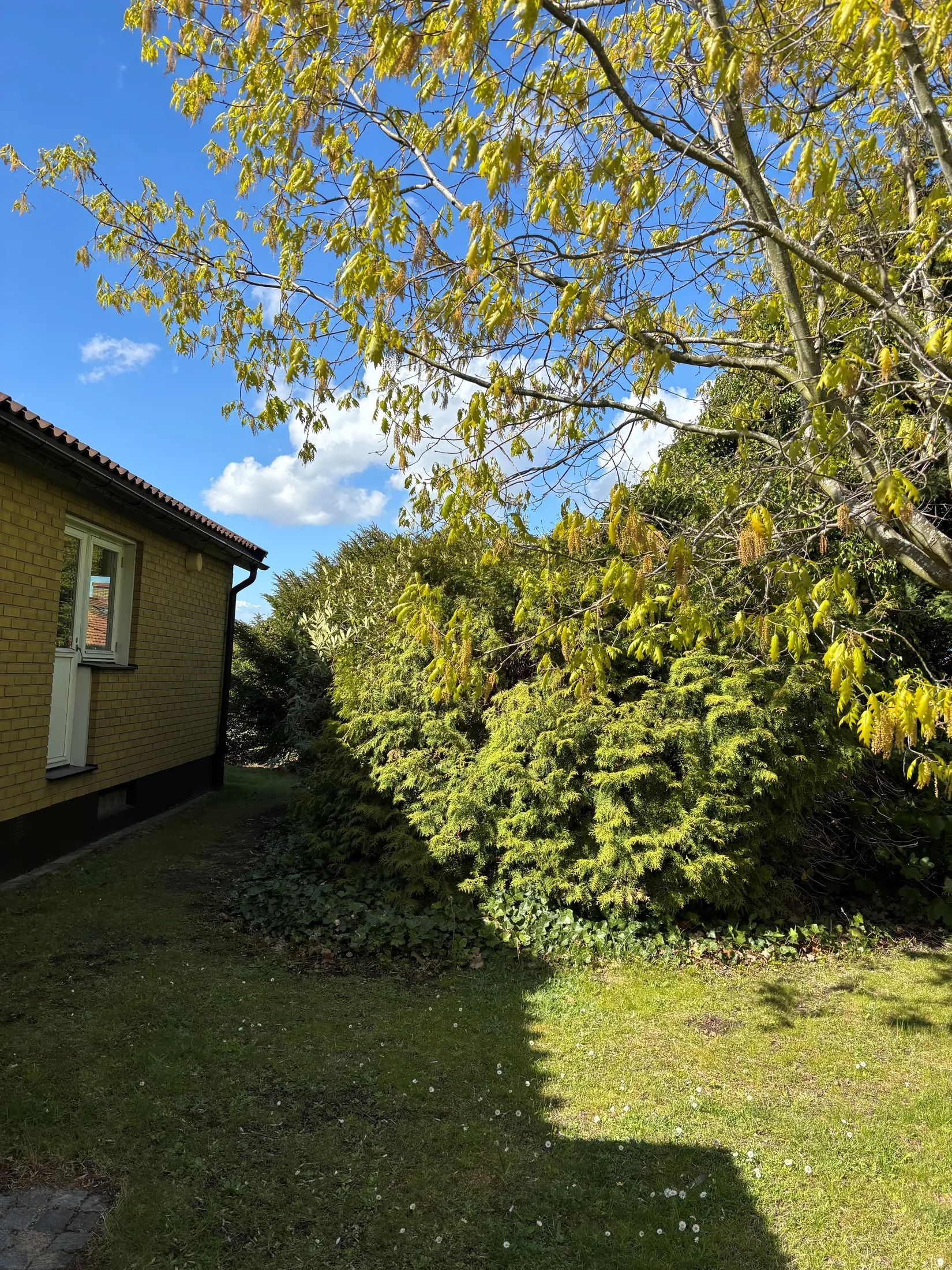 Villa, Storhällagatan 69, Riseberga, Malmö
