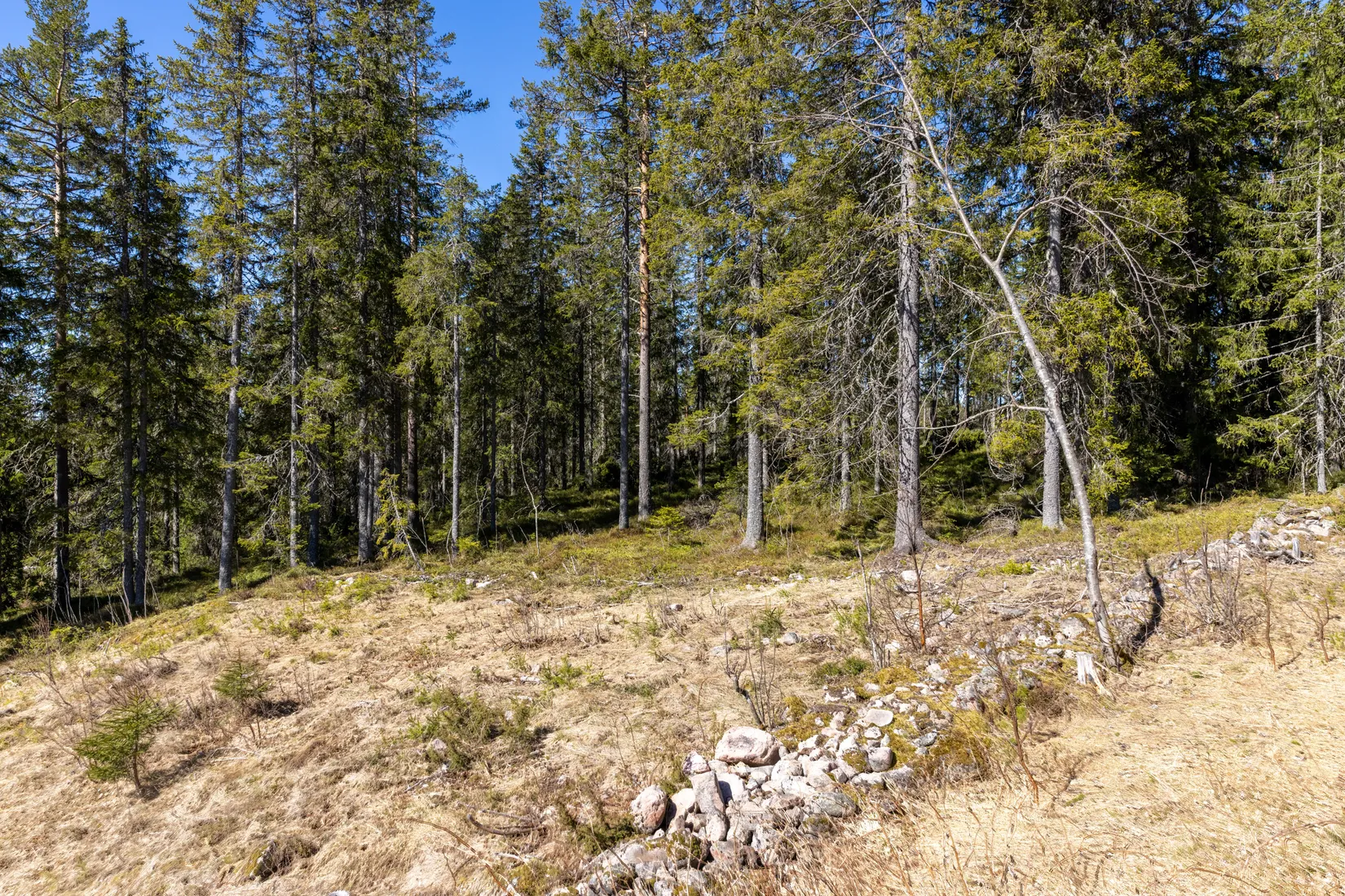 Fritidshus, Fryksås 257, Fryksås, Orsa