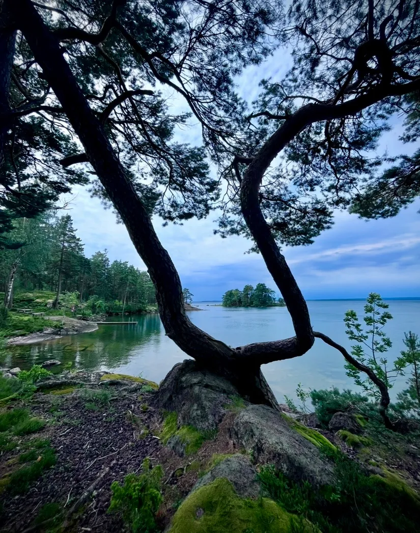Fritidshus, Nätholmsvägen 68, Västanvik, Motala