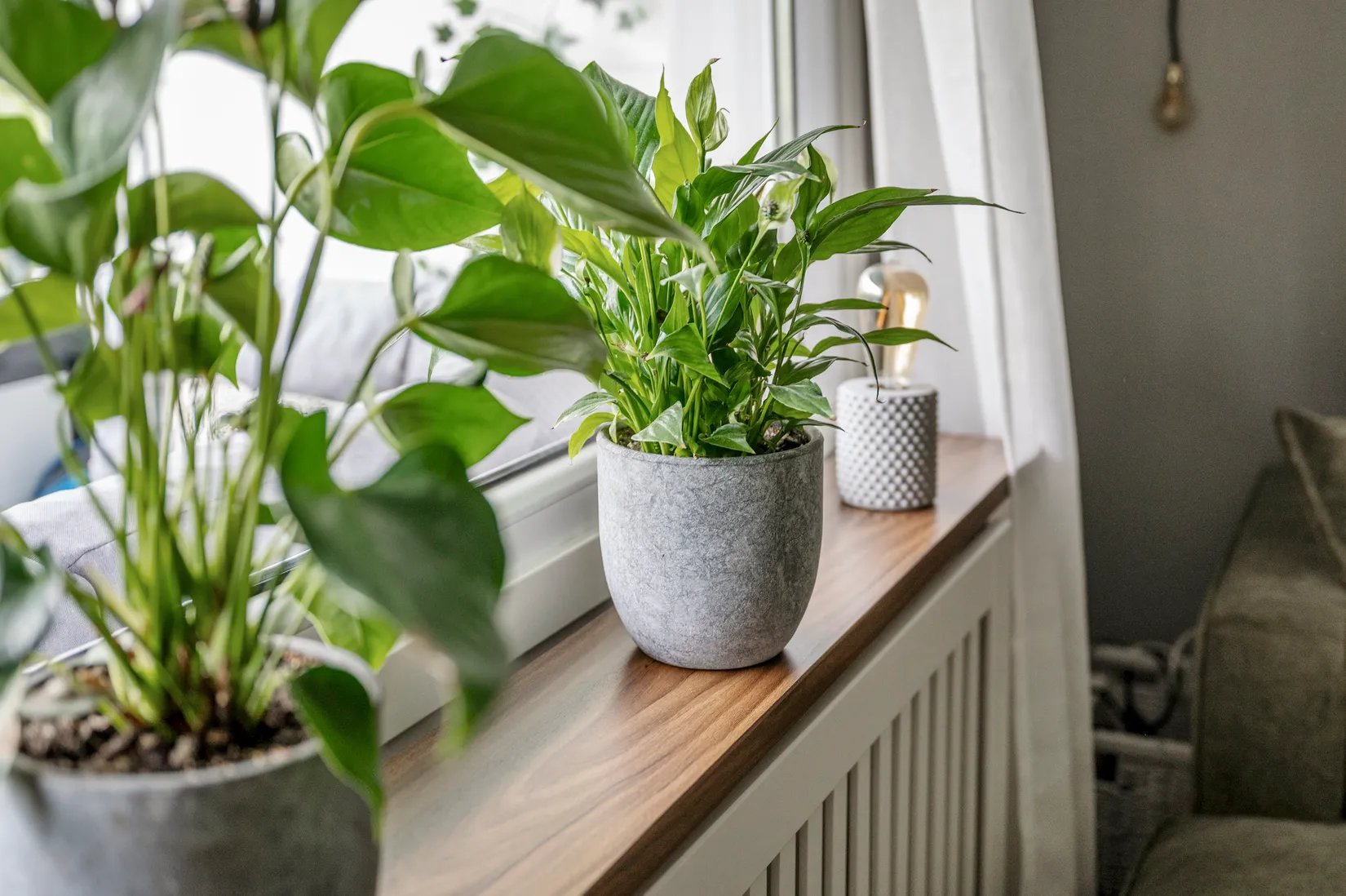 Bostadsrätt, Herrgårdsvägen 30, Centrala Väsby, Upplands Väsby