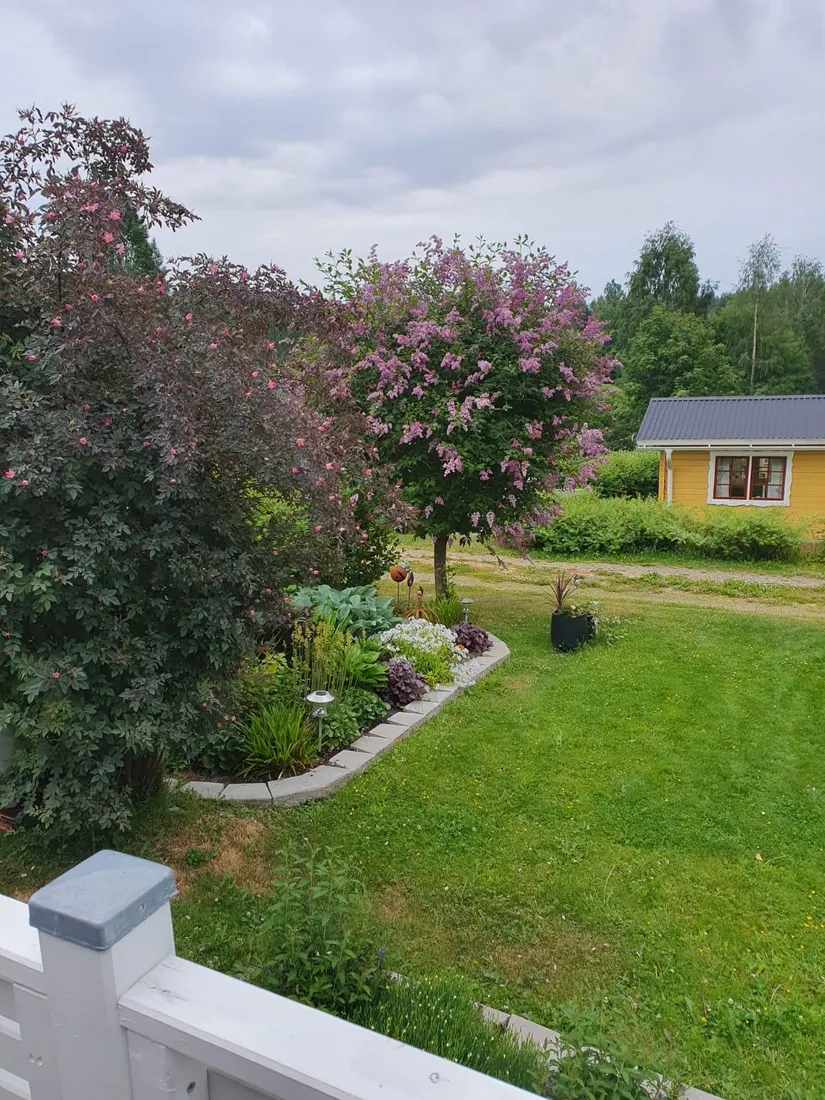 Fritidshus, Gamla Kågevägen 44, Kolonilott nr 2, Dalkarlslidens, Skellefteå