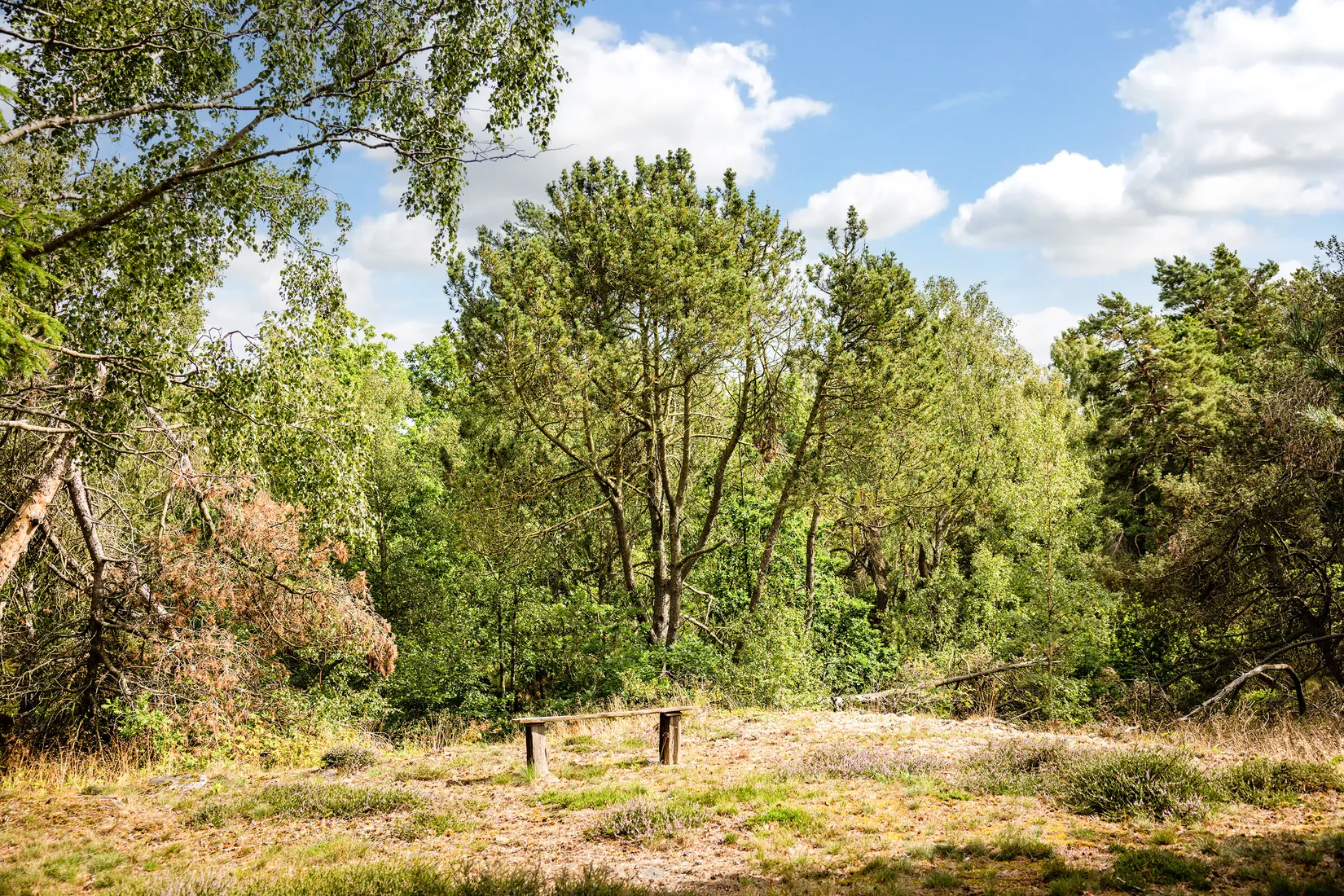 Villa, Bäckhallavägen 62, Gröstorp, Simrishamn