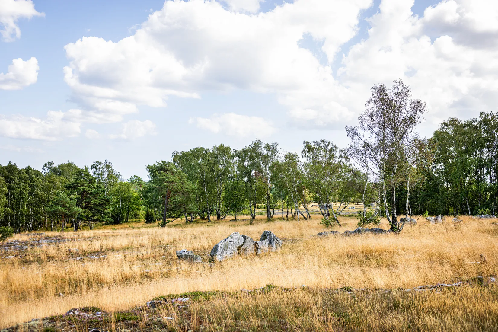 Villa, Bäckhallavägen 62, Gröstorp, Simrishamn