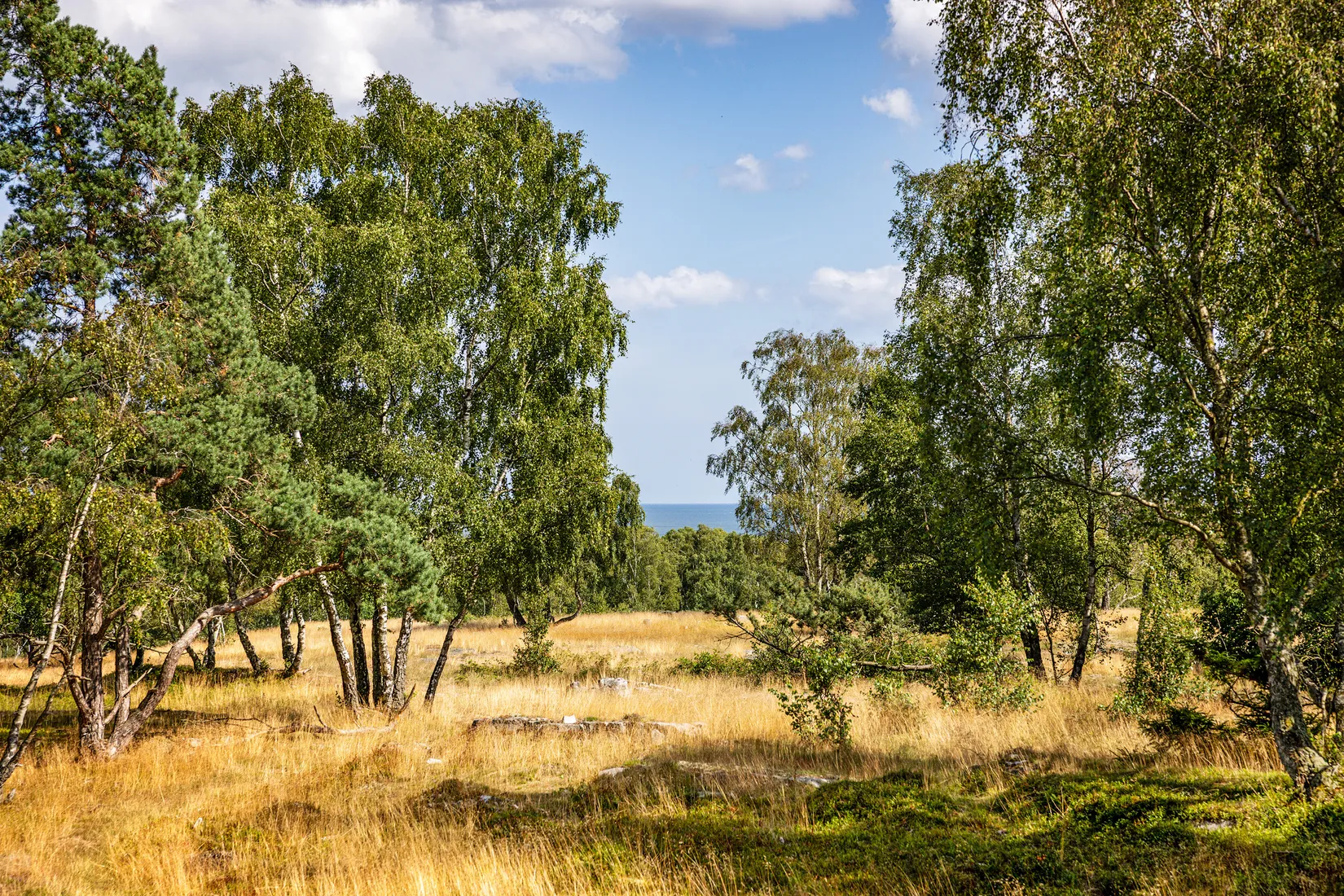 Villa, Bäckhallavägen 62, Gröstorp, Simrishamn